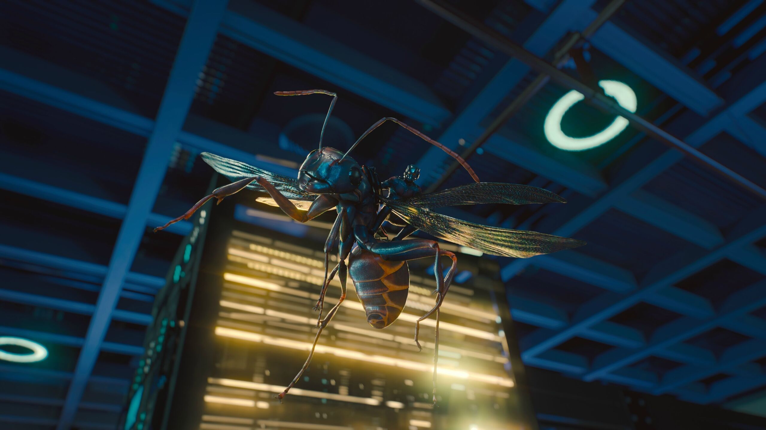 2018-ant-man-and-the-wasp-movie-4k-9t.jpg