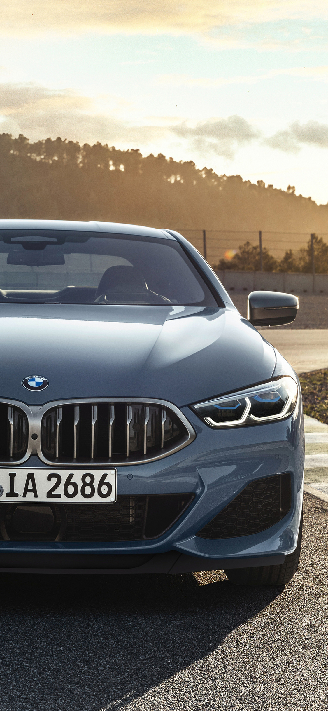 1125x2436 2019 BMW M850i XDrive Iphone