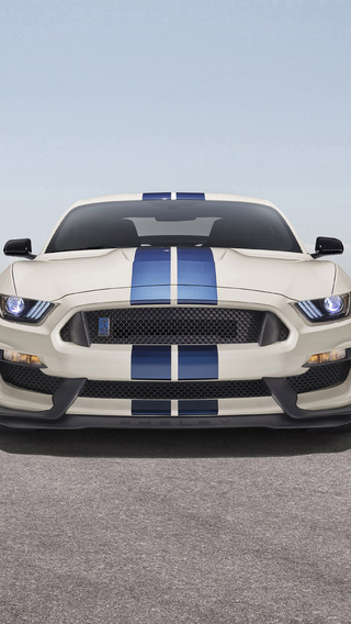 2020-shelby-gt350-heritage-edition-c0.jpg