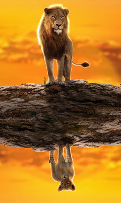 240x400 2022 The Lion King Simba Acer E100,Huawei,Galaxy S Duos,LG 8575  Android HD 4k Wallpapers, Images, Backgrounds, Photos and Pictures
