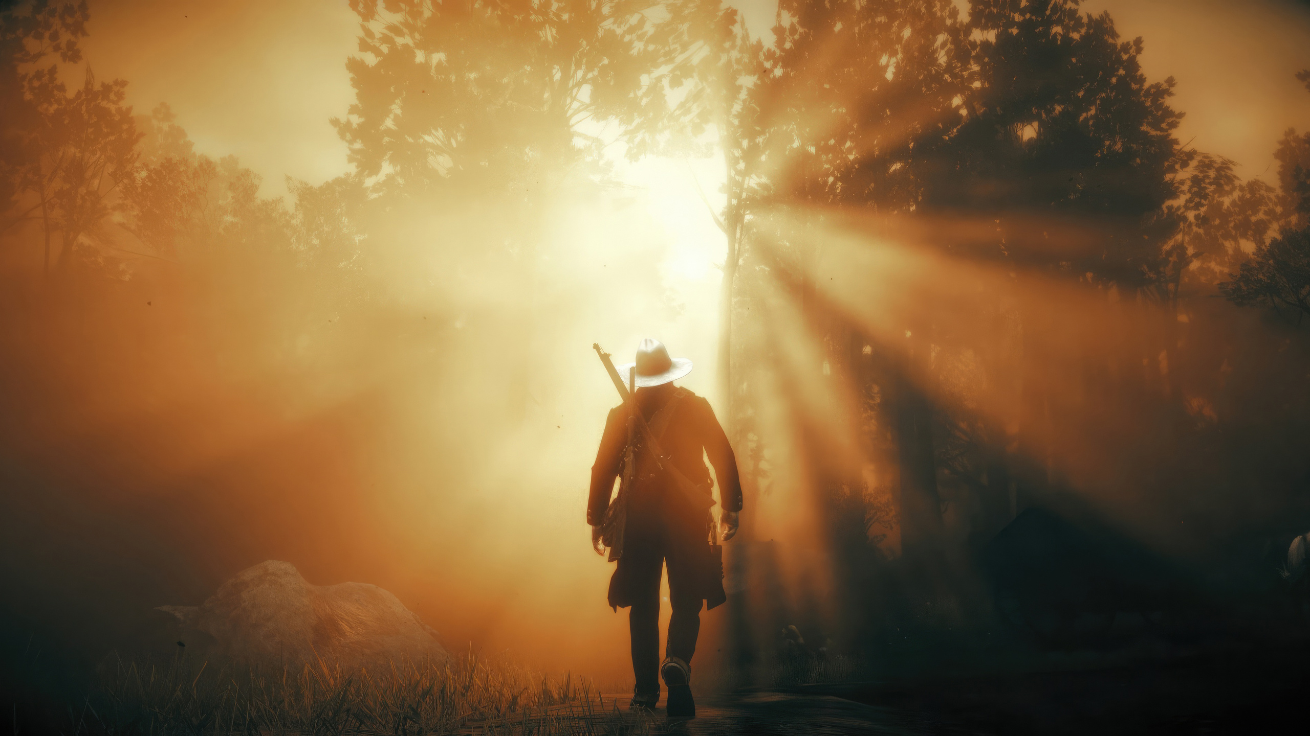 2560x1440 2024 Red Dead Redemption 2 4k 1440P Resolution ,HD 4k ...