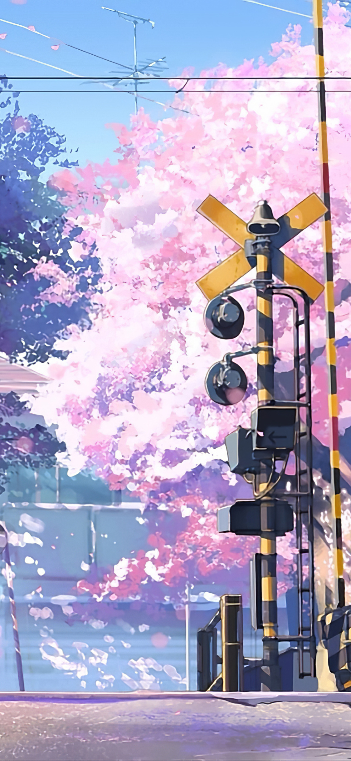 1125x2436 5 Centimeters Per Second Anime Tv Series 4k Iphone XSIphone  10Iphone X HD 4k Wallpapers Images Backgrounds Photos and Pictures