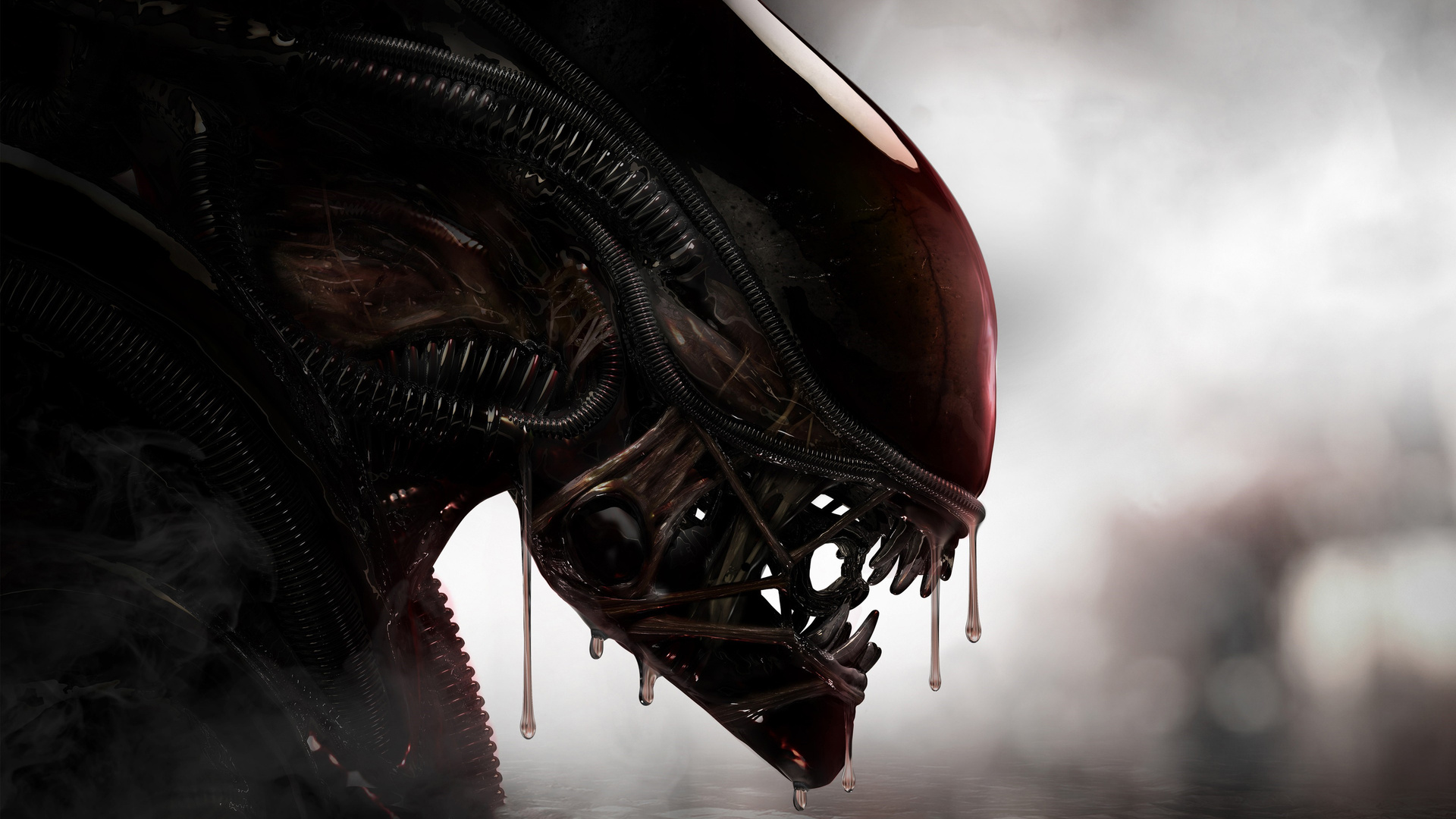 1920x1080 aliens vs predator hd background - !