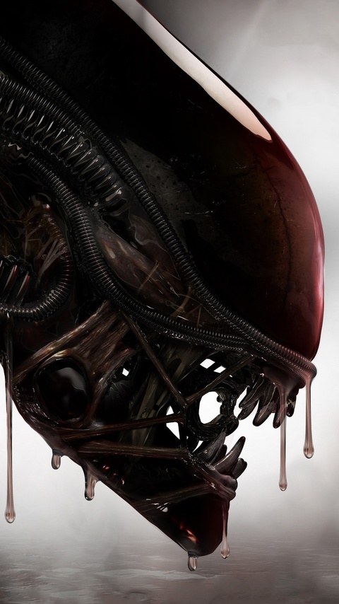 480x854 Aliens Xenomorph Creature 4k Android One Hd 4k Wallpapers