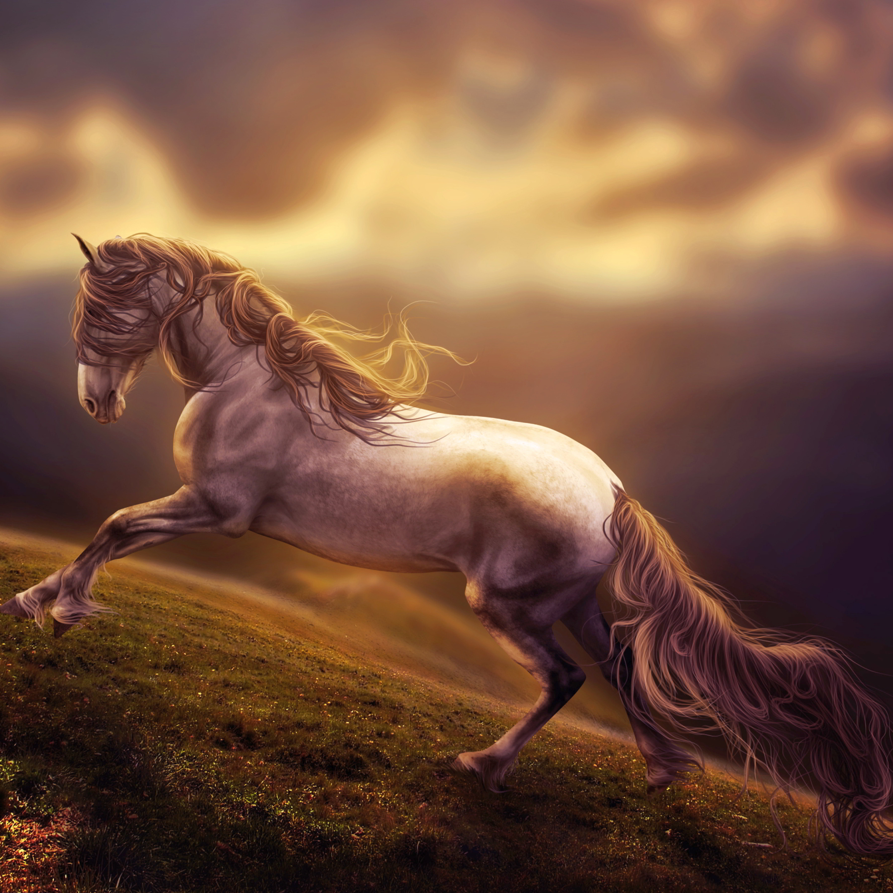 Amazing Horse Video Taking Over Twitter Feeds - ct2pfdw