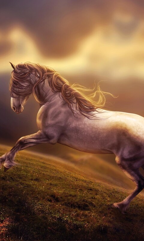 amazing-horse-art.jpg