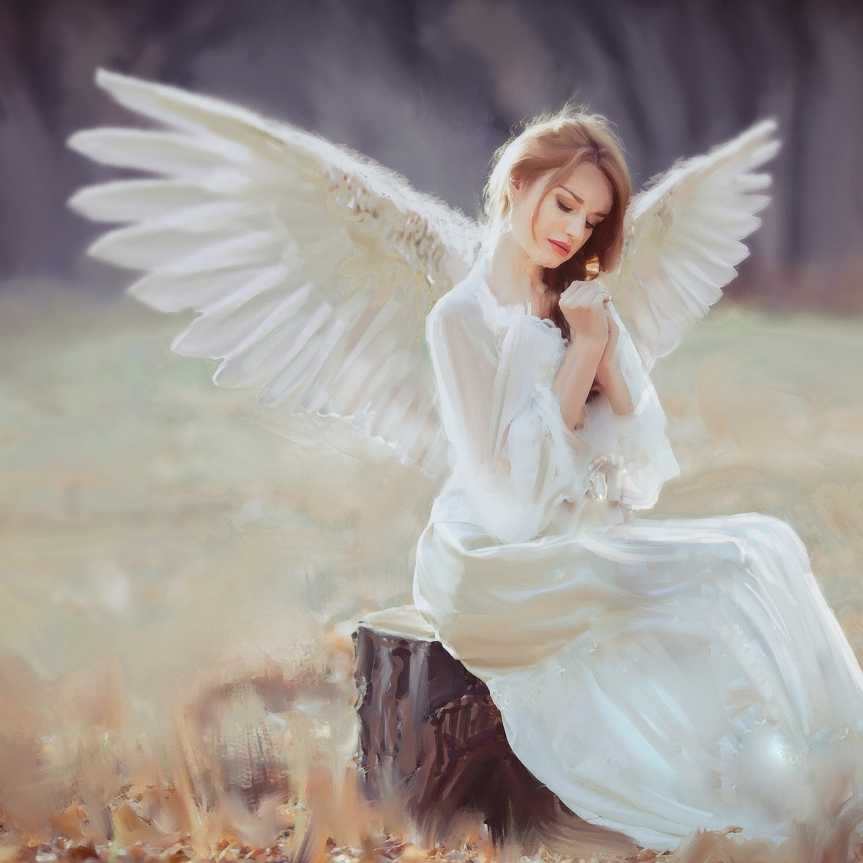 Песня добрые ангелы. Angels Lullaby Хелена. Девушка с крыльями. Девушка - ангел. Дева-ангел.