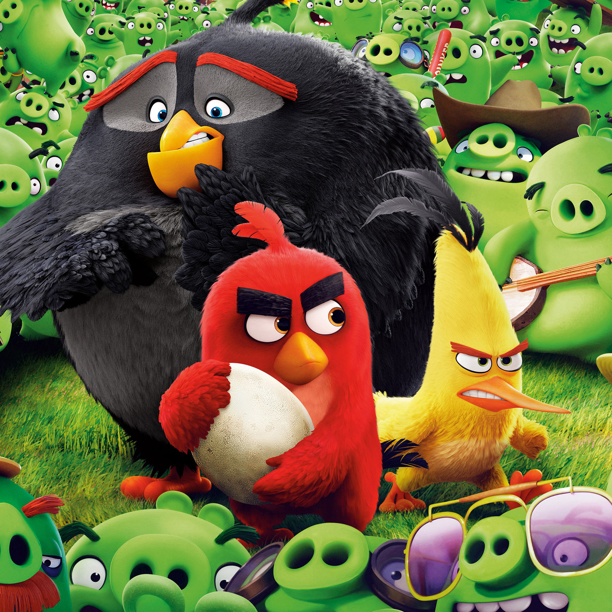 Angry birds сердитый. Игрушки Angry Birds Rovio. Angry Birds Энгри бердз. Энгри бердз 2 сердитые птички.