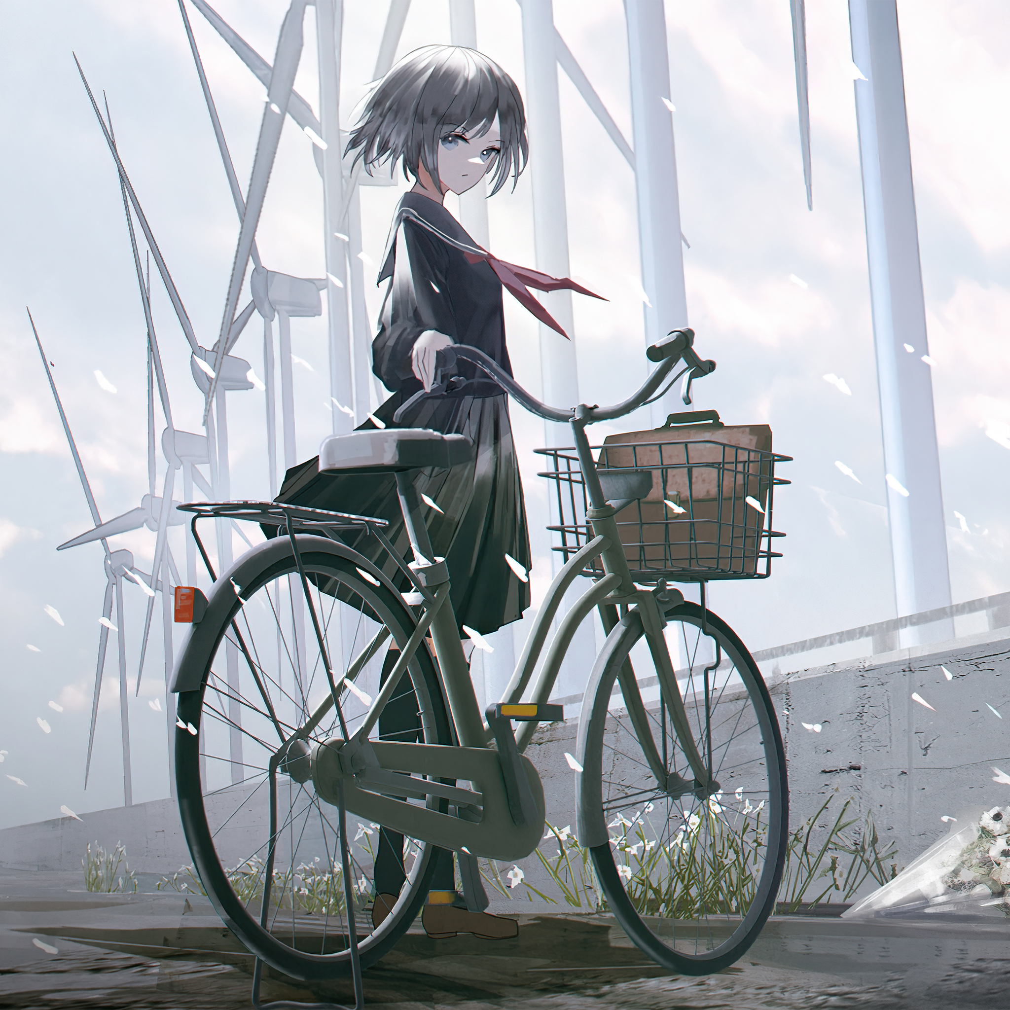 2048x2048 Anime Girl Bicycle Ipad Air HD 4k Wallpapers, Images,  Backgrounds, Photos and Pictures