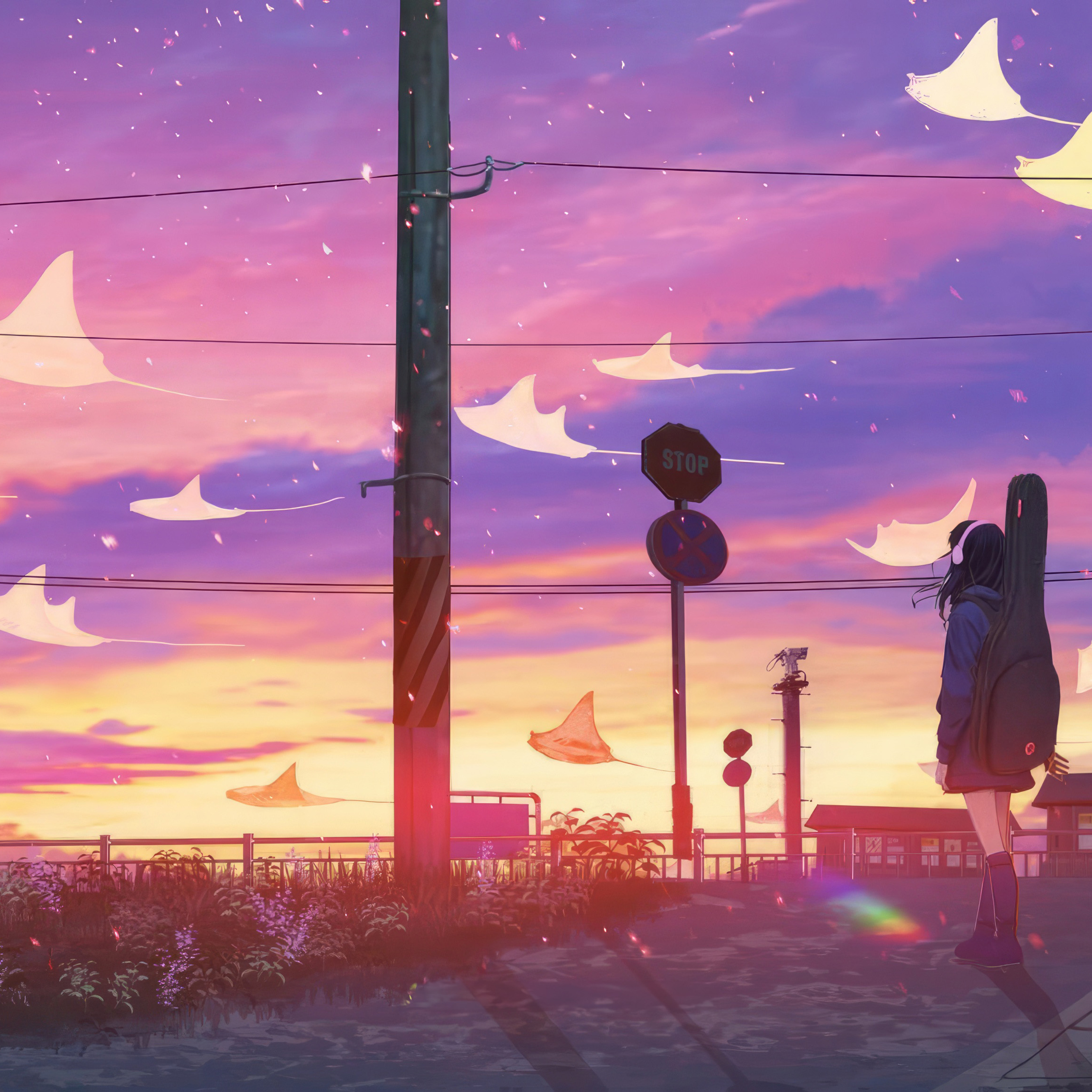 2932x2932 Anime Girl Dreamy Skies Ipad Pro Retina Display ,HD 4k ...