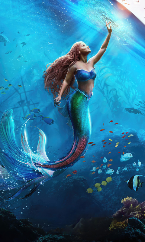 480x800 Ariel The Little Mermaid Movie Galaxy Note,HTC Desire,Nokia ...