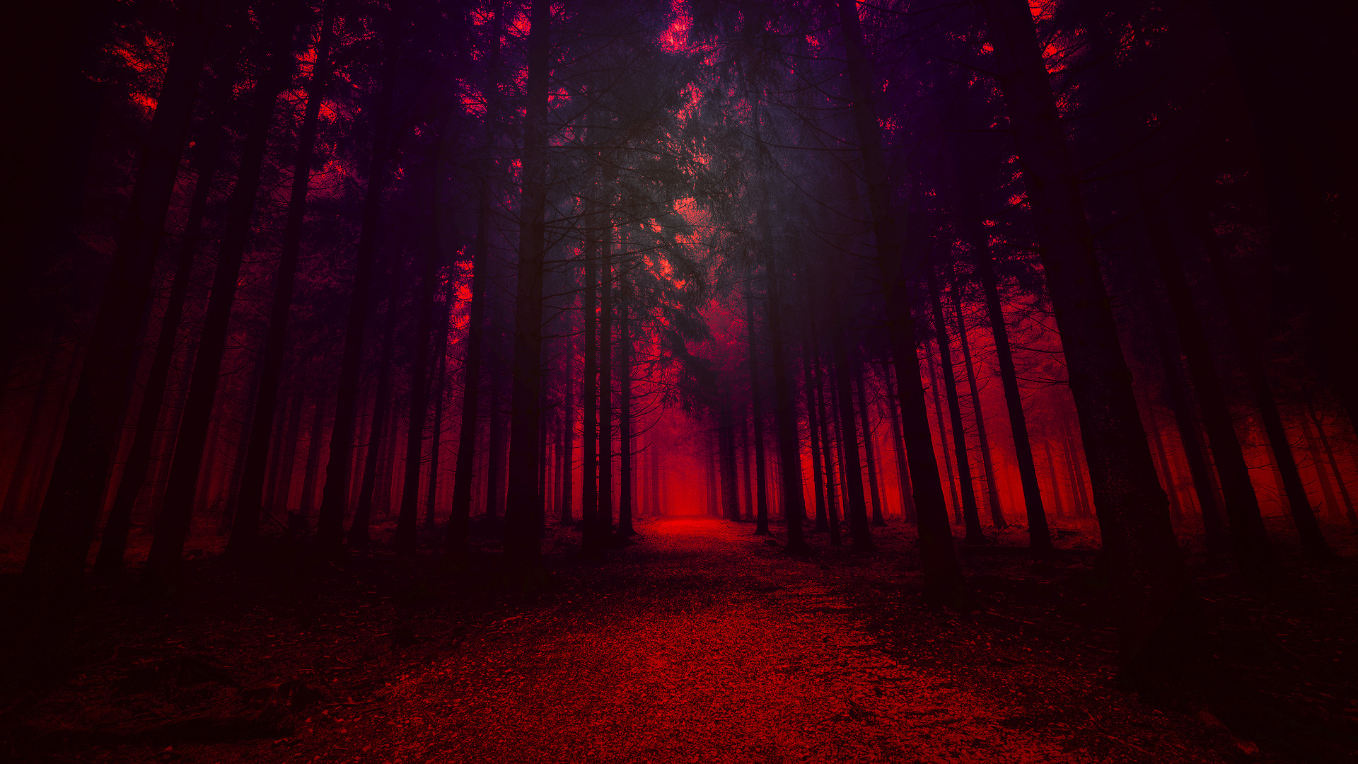 artistic-red-forest-23-1920x1080.jpg