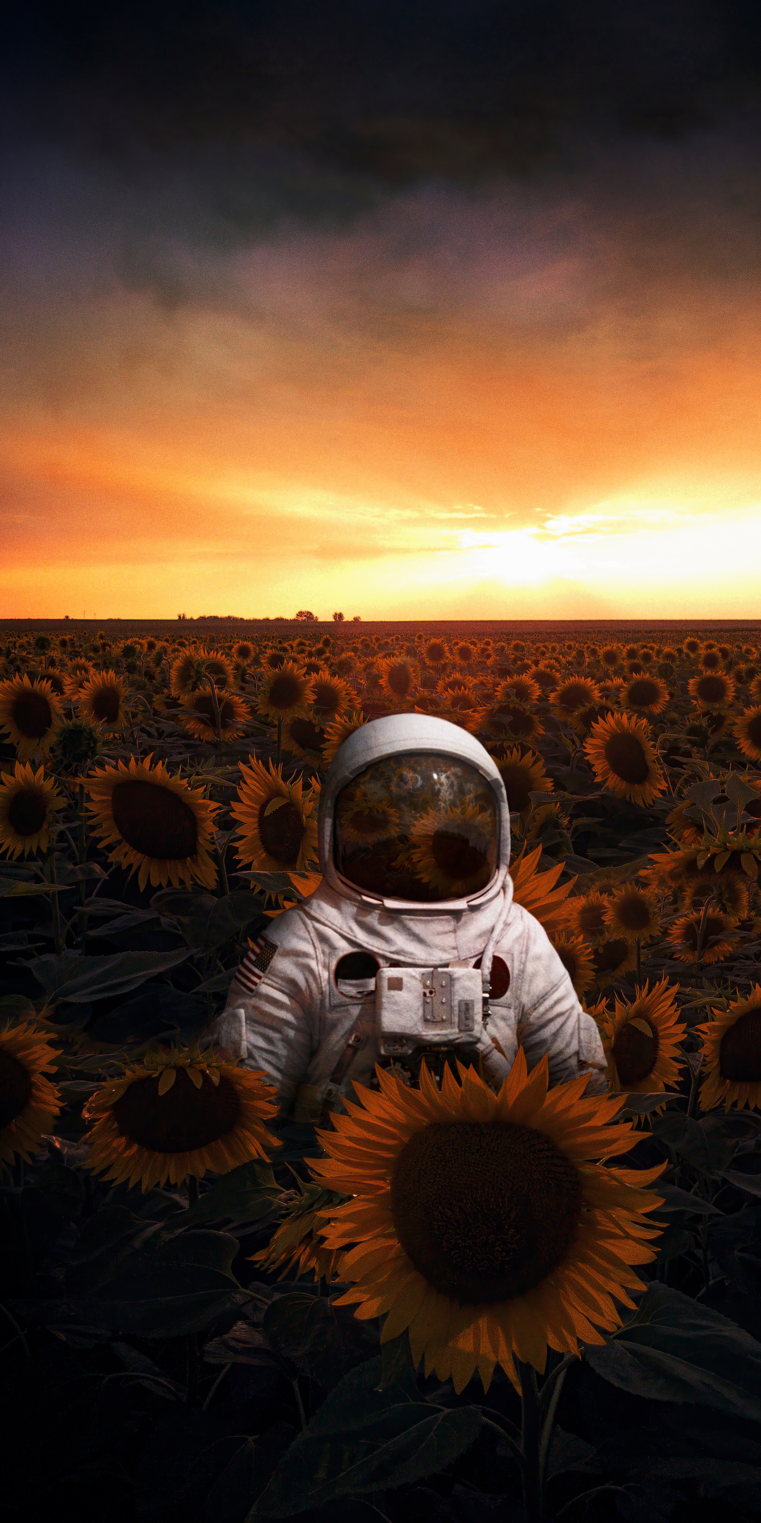 astronaut-in-sunflowers-field-4k-45.jpg