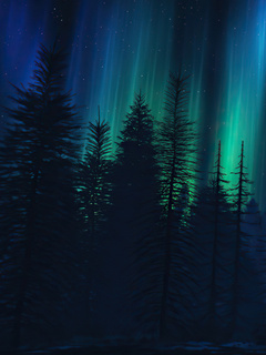 aurora-fall-4k-9a.jpg