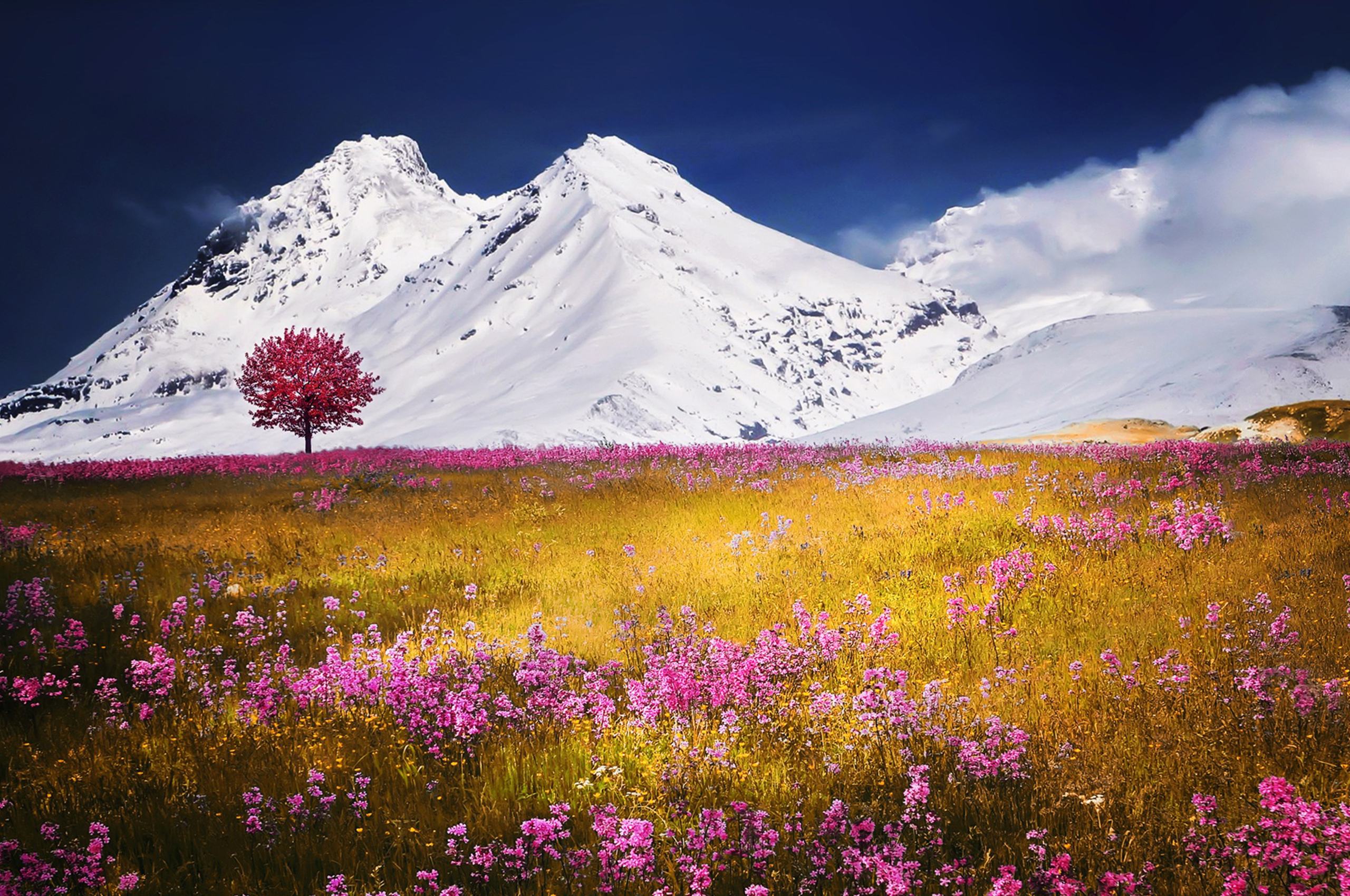 Розовые деревья в горах. Альпийские Луга Эльбруса. Альпийские Луга Швейцария. Горы Эльбрус с цветамм. Телевизор TOPDEVICE tdtv24bs02h_BK.