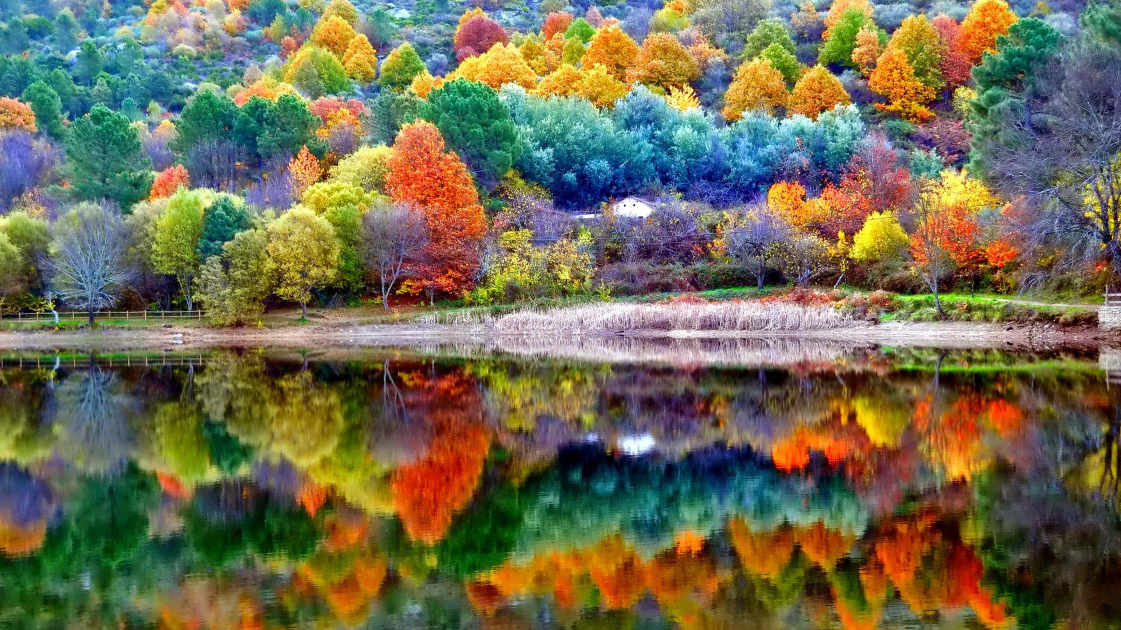 The color is beautiful. Красивая осень. Природа осень. Разноцветная осень. Яркая природа.