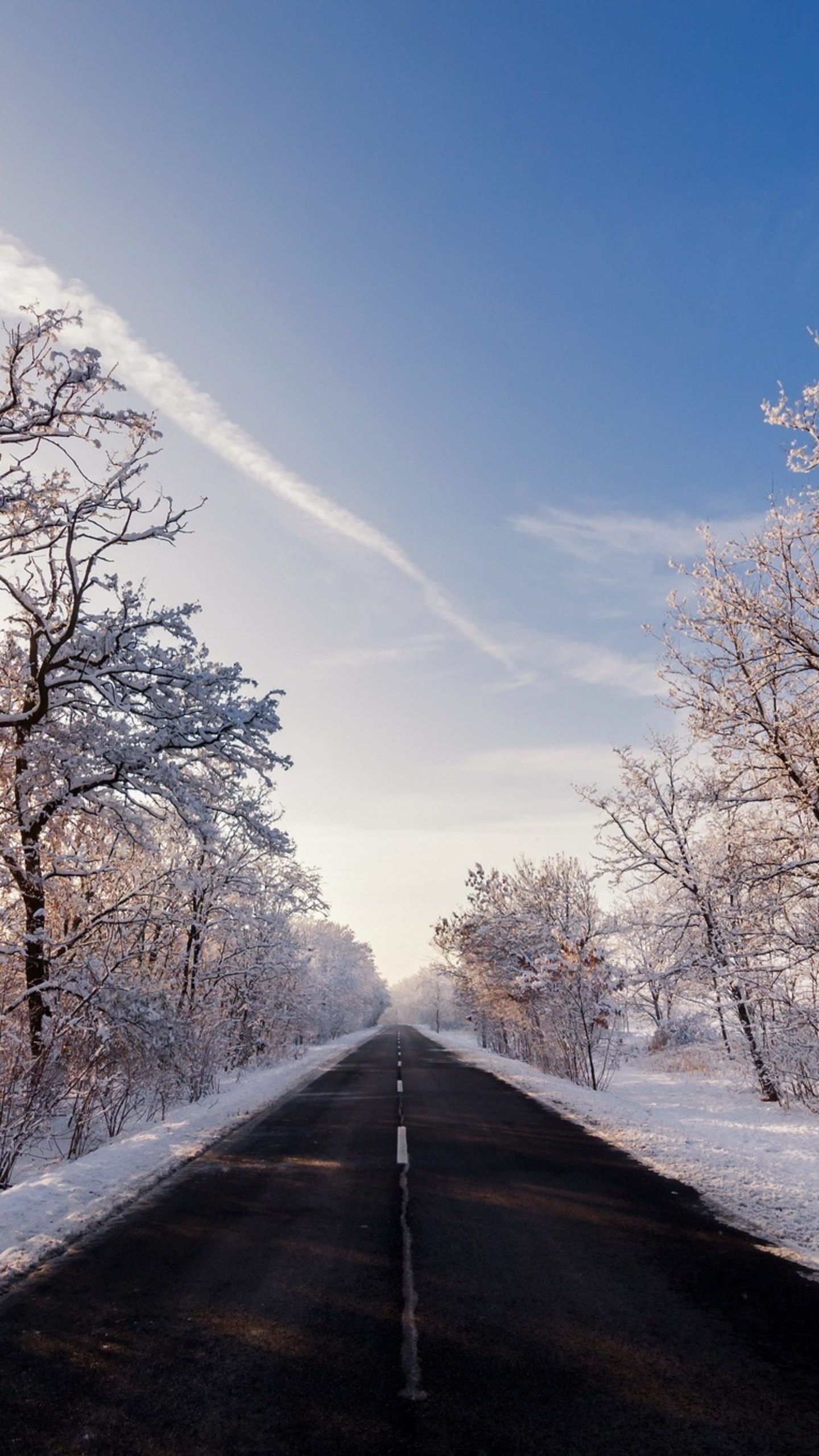 Зимнее утро дорога. Зимняя дорога. Дорога зимой. Заснеженная дорога.