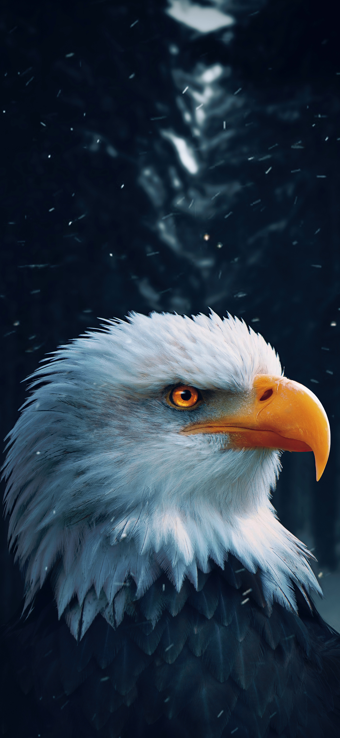 1125x2436 Bald Eagle Closeup 4k Iphone XS,Iphone 10,Iphone X HD 4k  Wallpapers, Images, Backgrounds, Photos and Pictures
