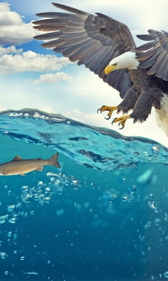 bald-eagle-raptor-catching-fish-4k-4o.jpg