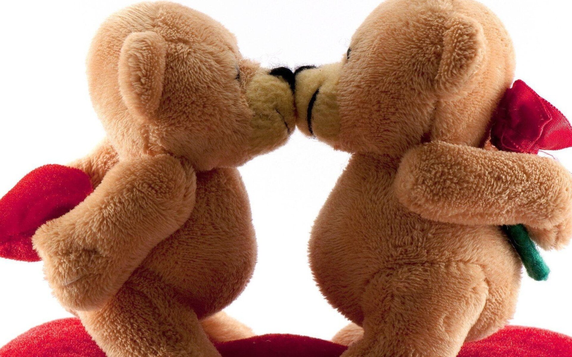 bears-kissing-wide.jpg