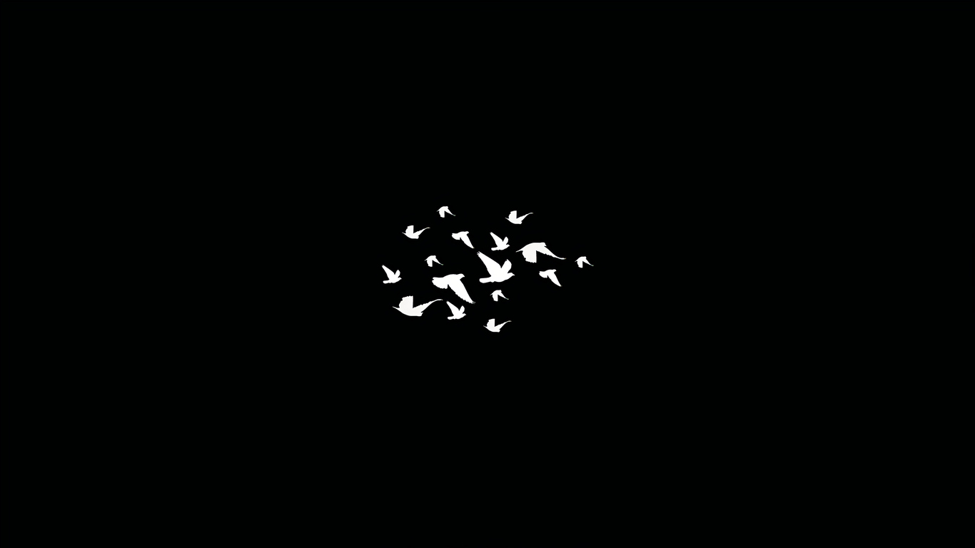 1366x768 Birds Flying Minimalist Dark 4k 1366x768 Resolution HD 4k  Wallpapers, Images, Backgrounds, Photos and Pictures