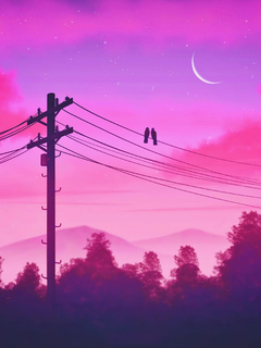 birds-sitting-on-electric-power-poles-lines-twilight-5k-67.jpg