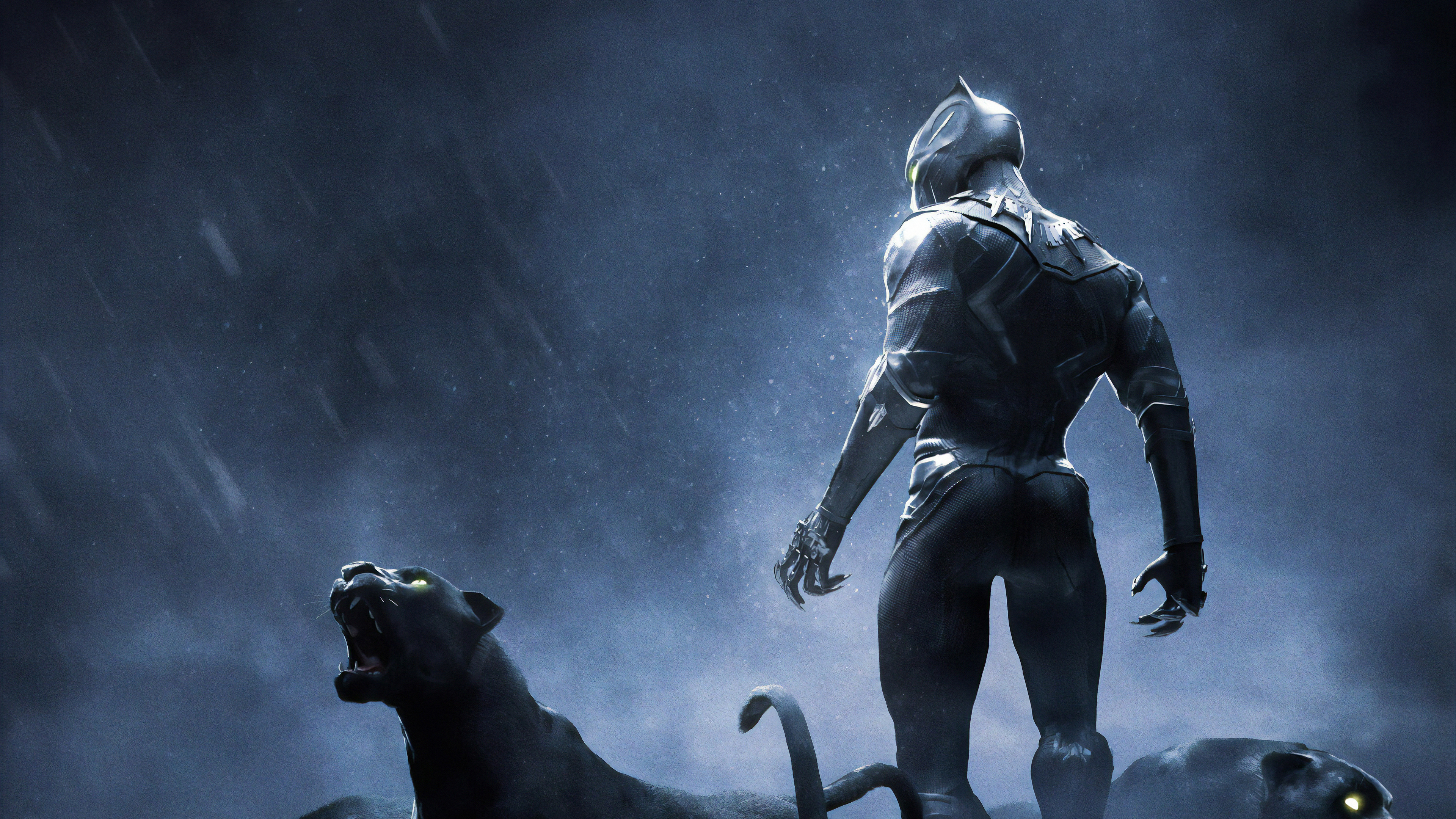 3840x2160 Black Panther Rise Up 4k 4k HD 4k Wallpapers, Images, Backgrounds,  Photos and Pictures