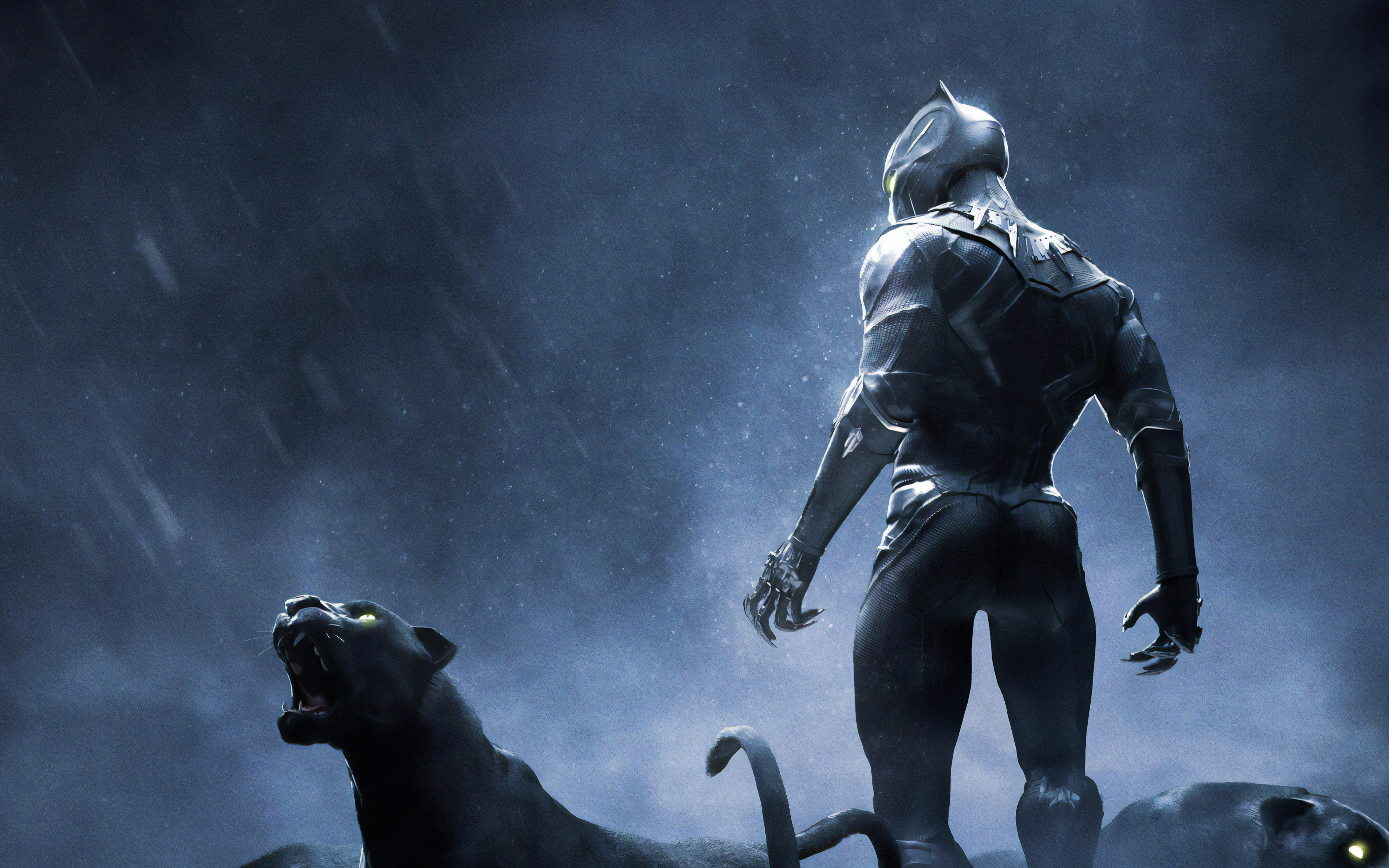 3840x2400 Black Panther Rise Up 4k 4k HD 4k Wallpapers, Images