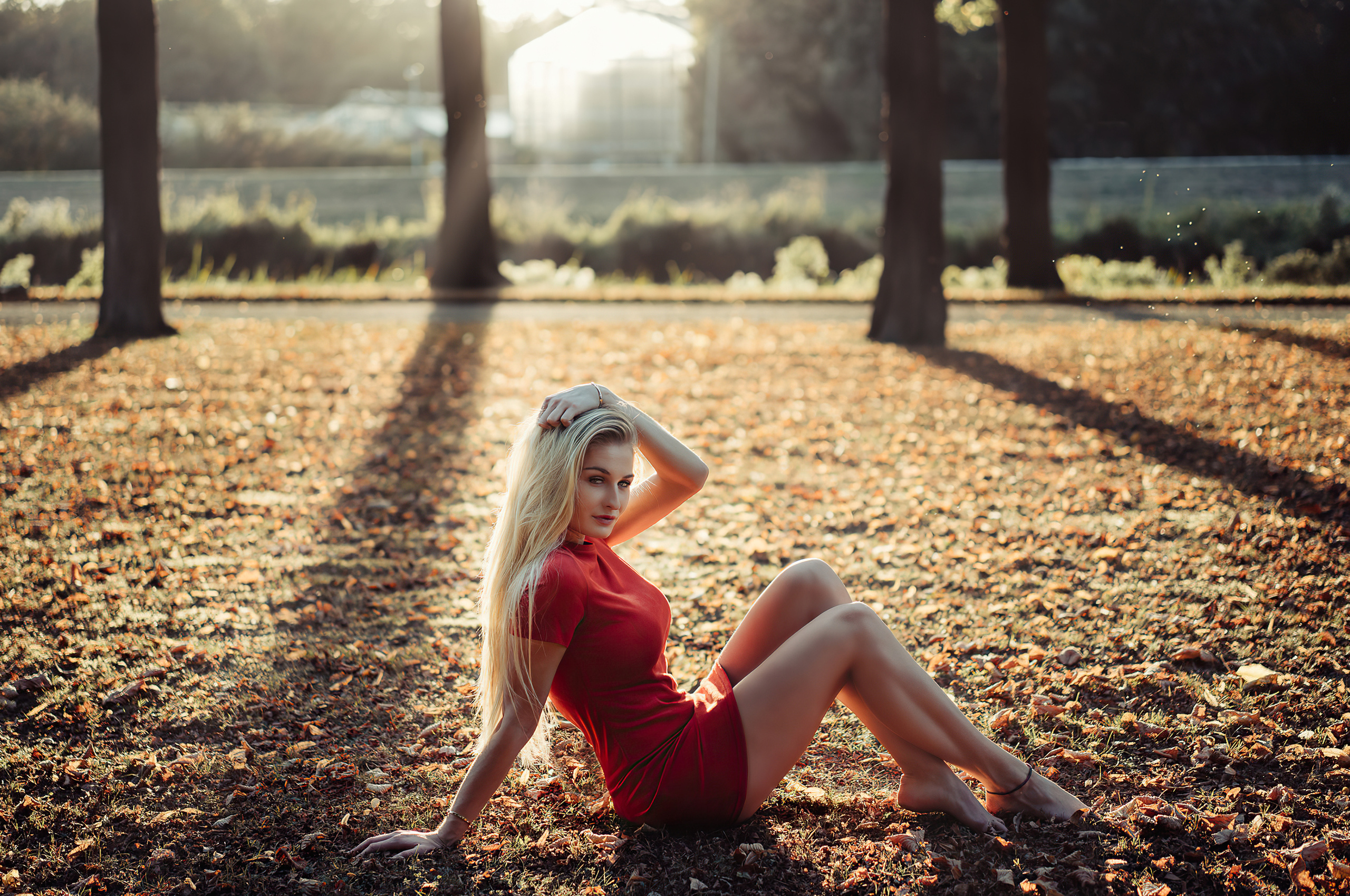 2560x1700 Blonde Girl Grass Sitting 4k Chromebook Pixel Hd 4k