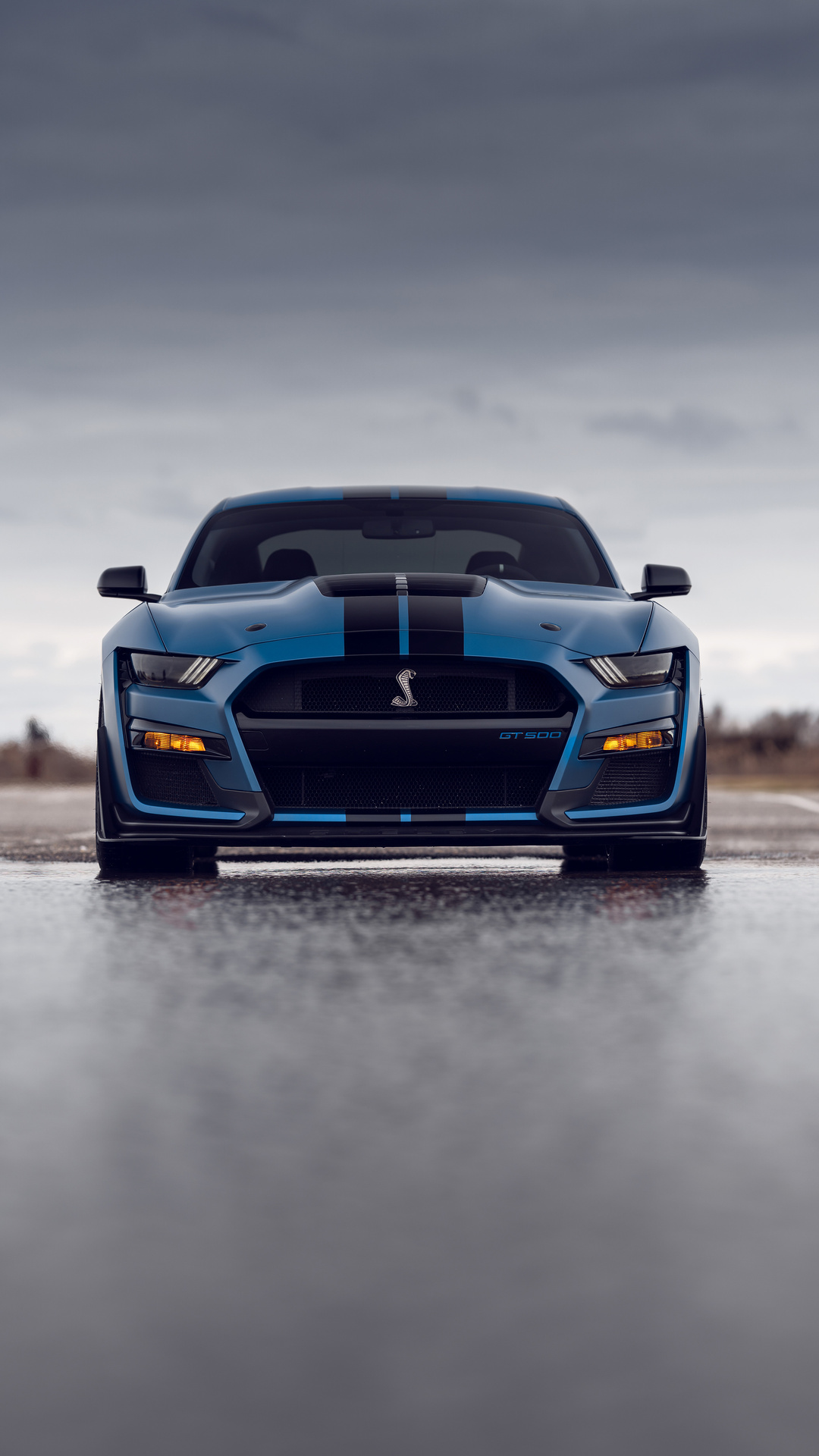 1080x1920 Blue Ford Shelby Gt500 Iphone 76s6 Plus Pixel Xl One Plus 33t5 Hd 4k Wallpapers 7590