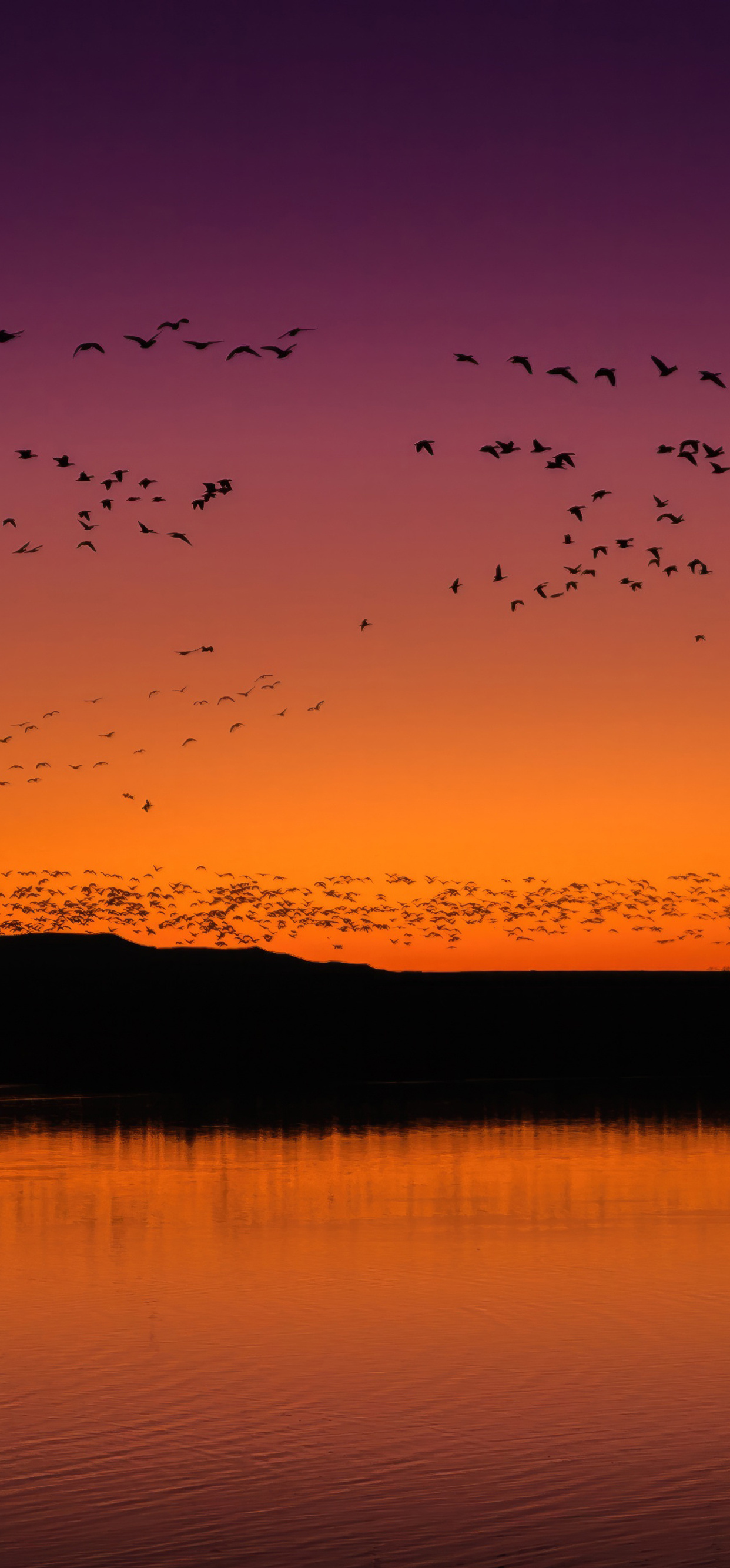 1242x2668 Bosque Del Apache National Wildlife Refuge Visitor Center