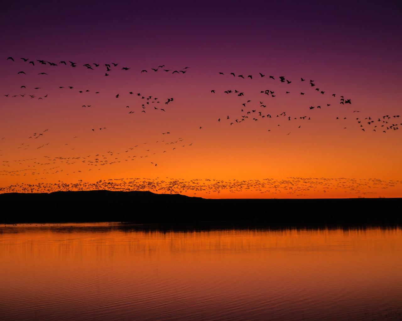 1280x1024 Bosque Del Apache National Wildlife Refuge Visitor Center ...