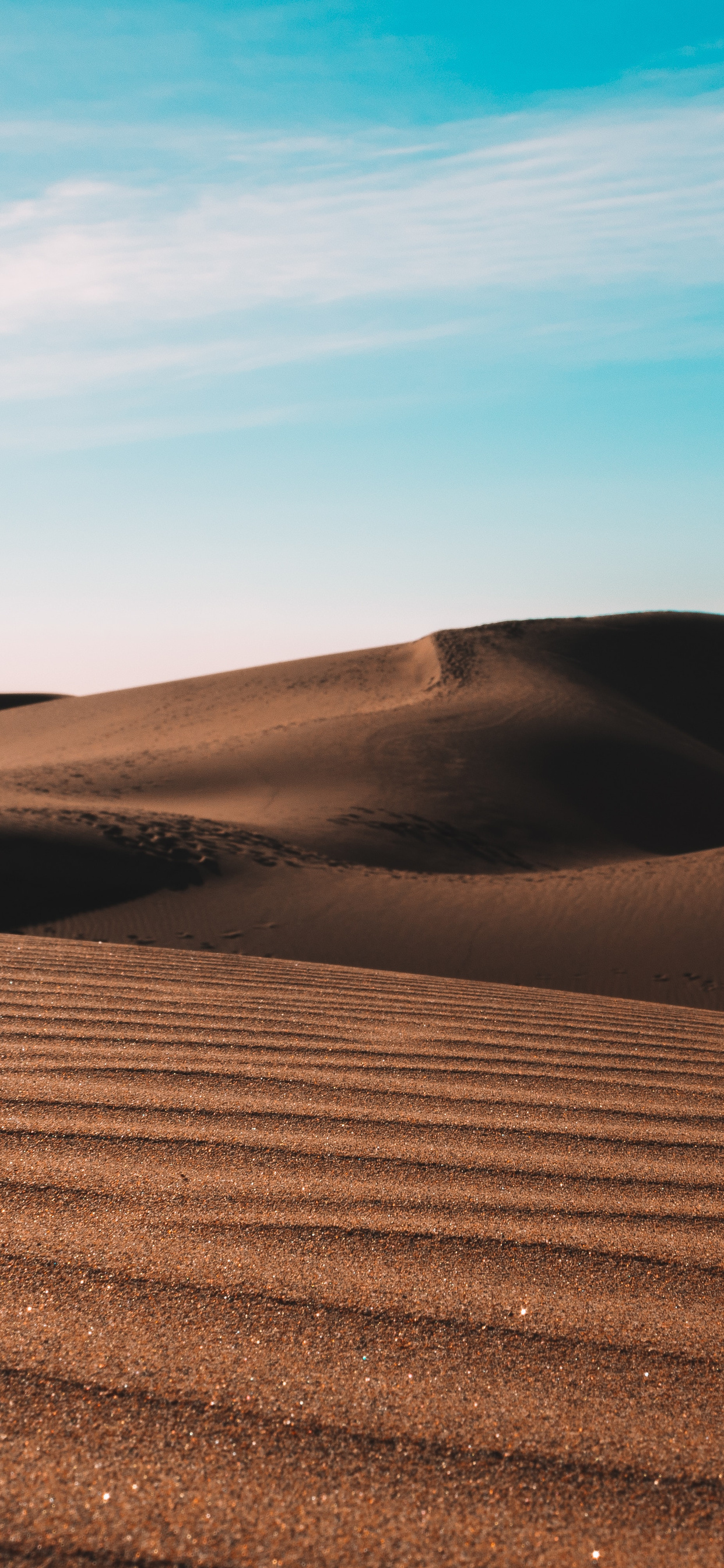1242x2688 Brown Desert 5k Iphone XS MAX HD 4k Wallpapers, Images