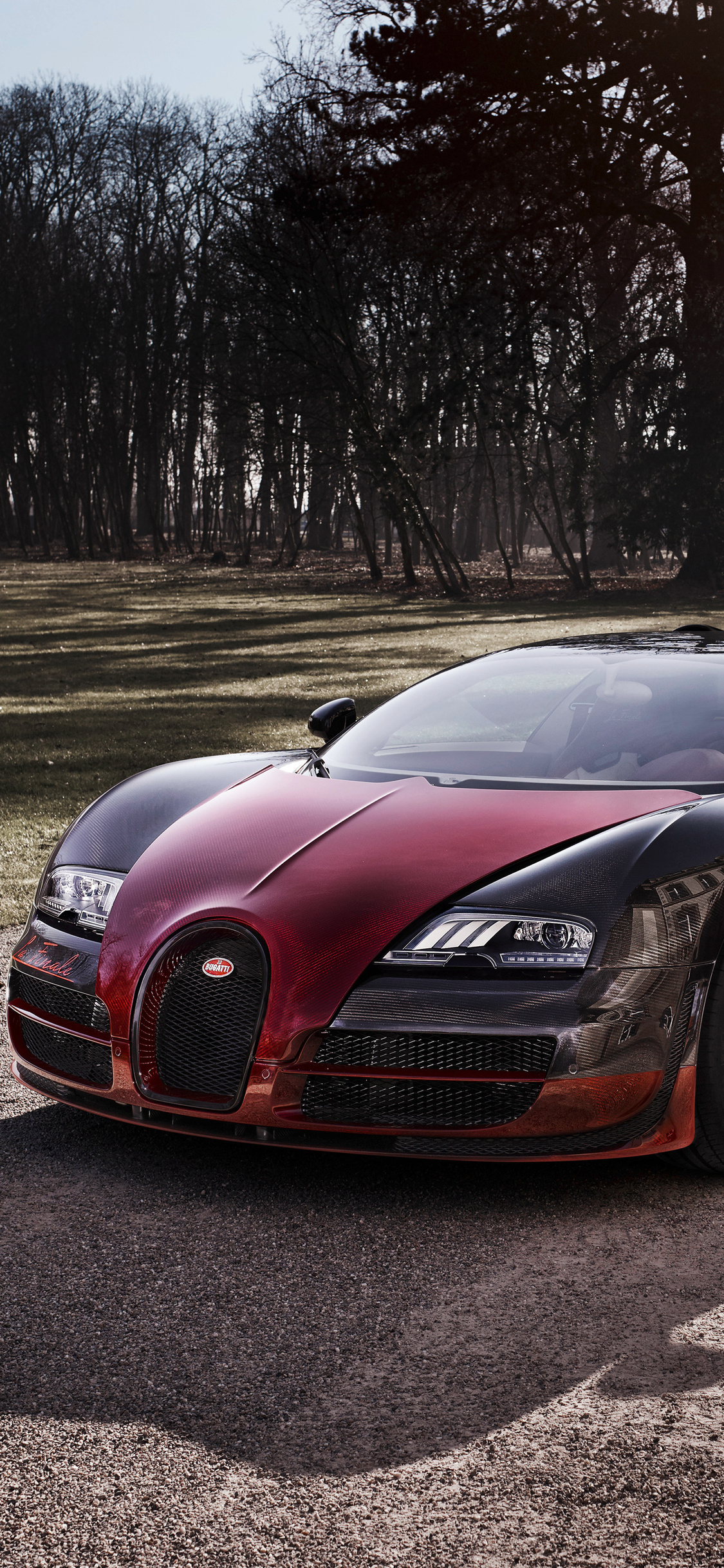 Bugatti veyron grand sport vitesse la finale Wallpaper 2k Quad HD ID:1370