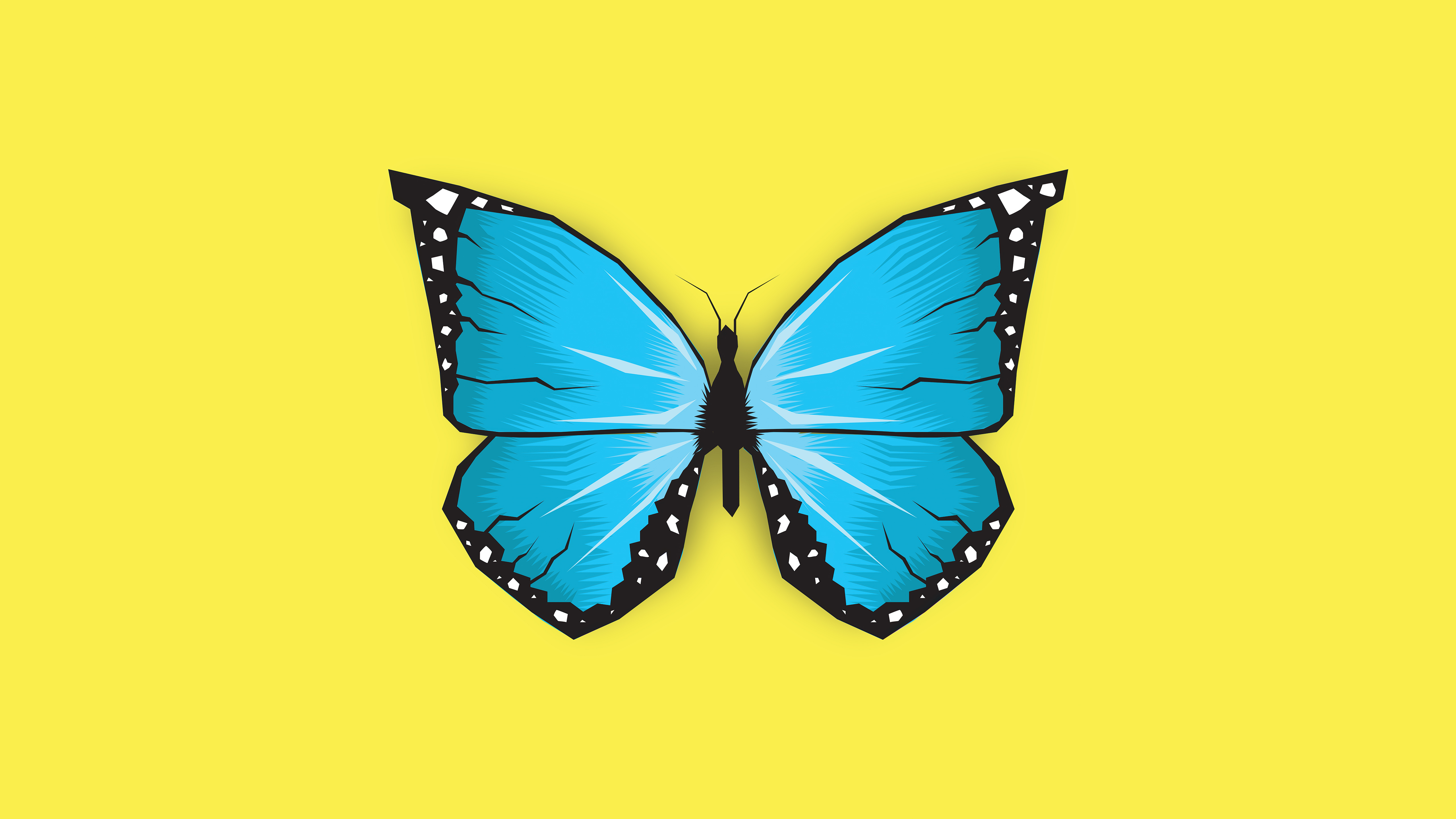 butterfly-insect-minimal-5k-cl.jpg