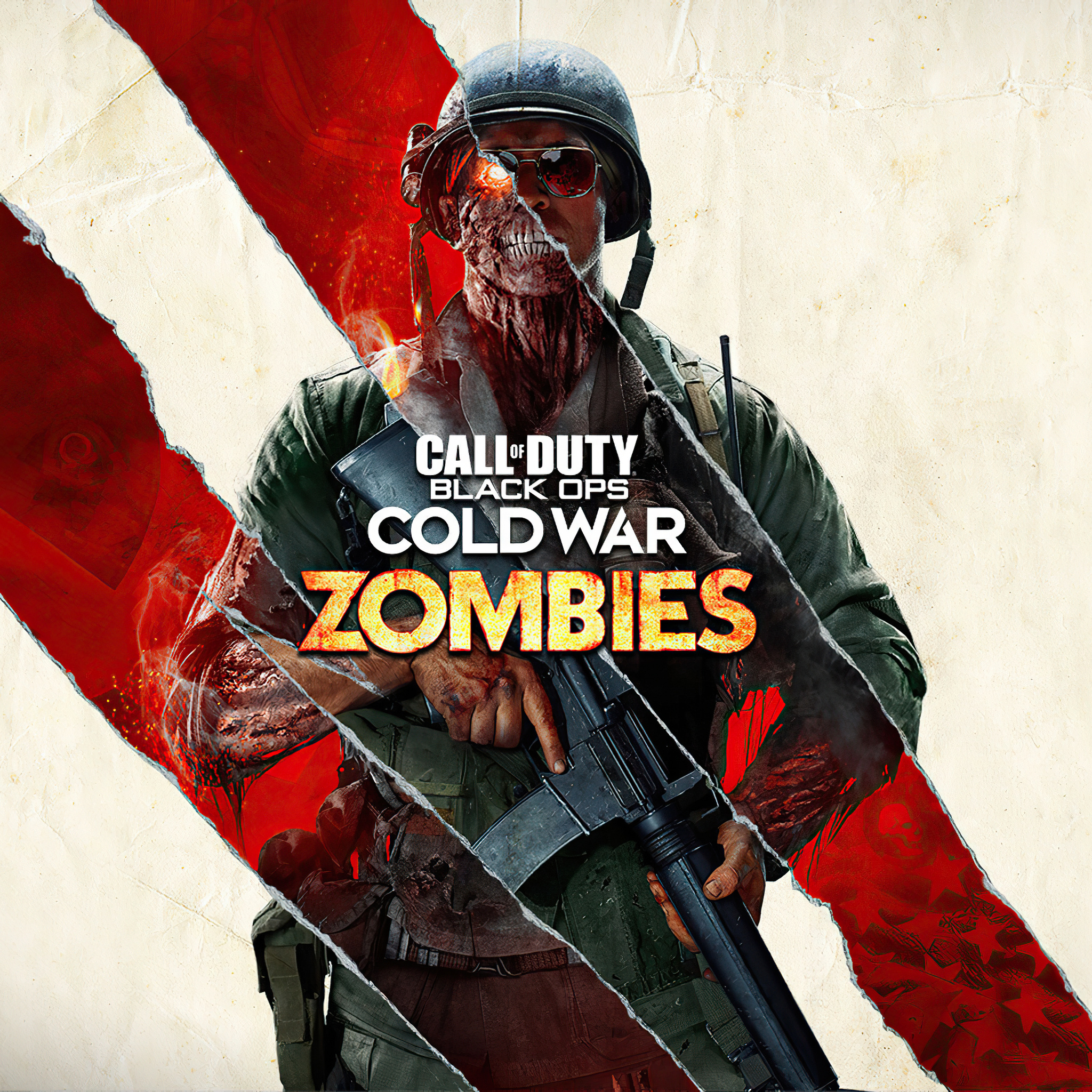 2048x2048 Call Of Duty Black Ops Cold War Zombies Ipad Air ...