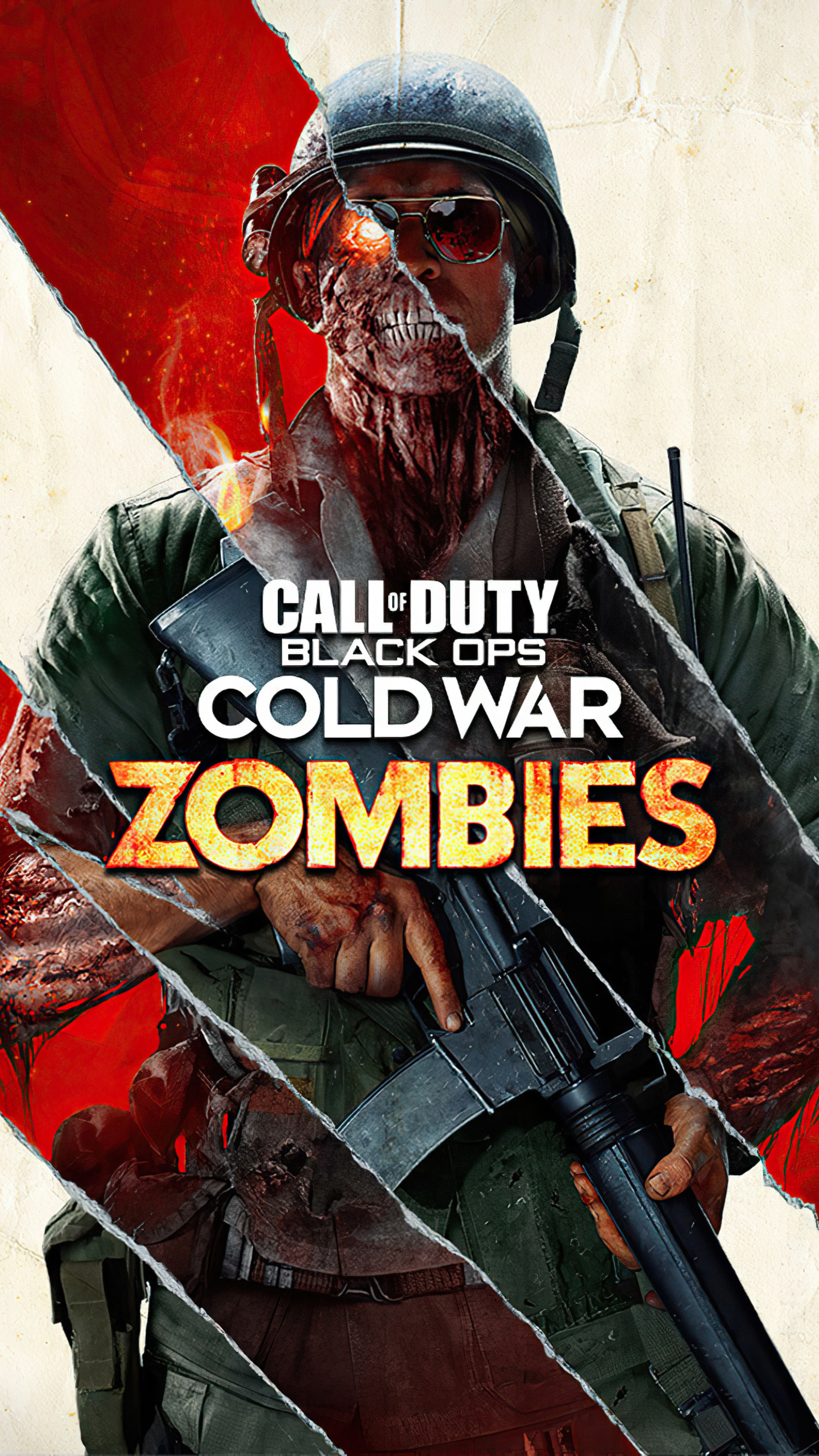 cold war zombies split screen online