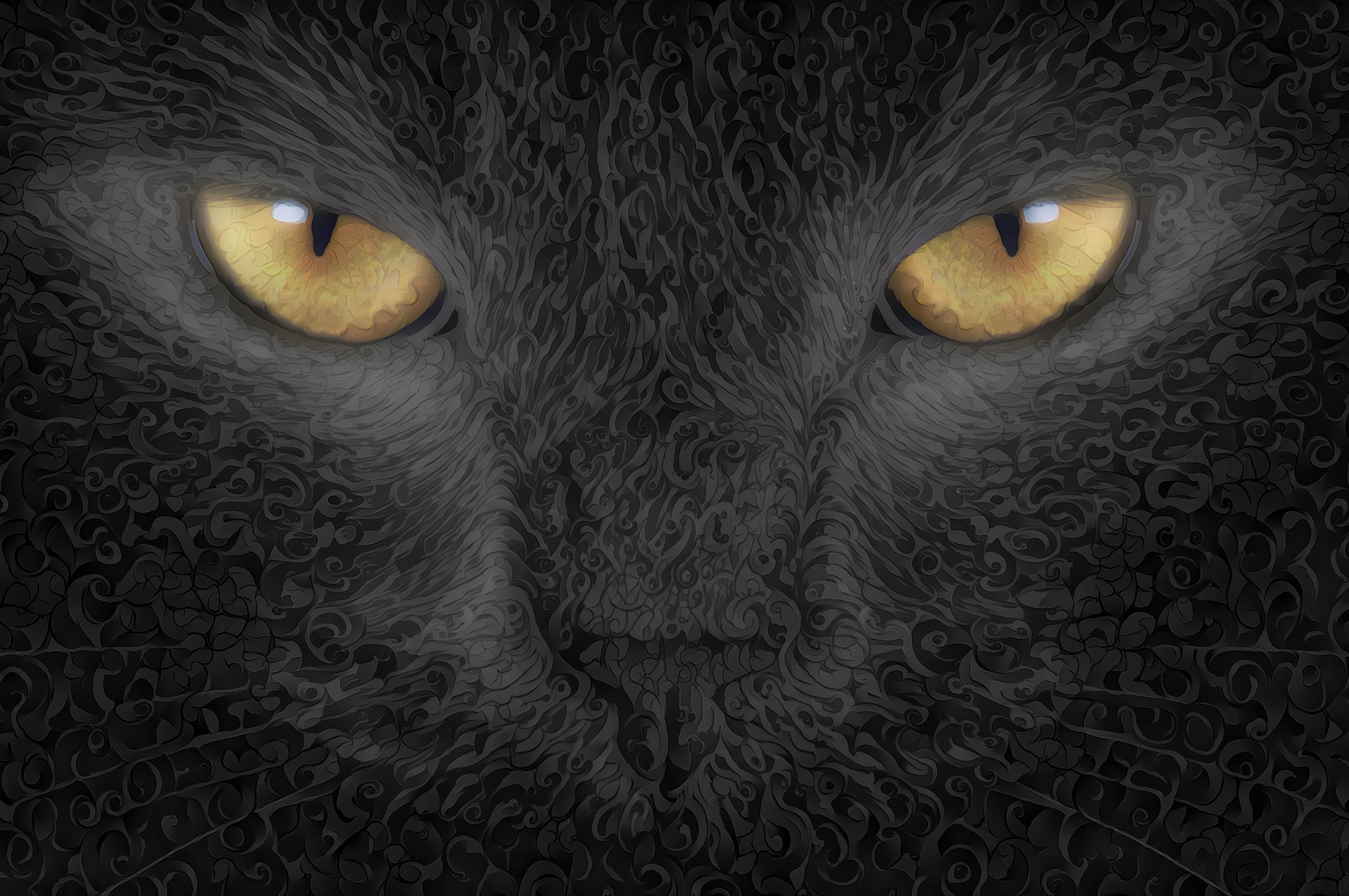 2560x1700 Cat Abstract Art Background Chromebook Pixel ,HD 4k ...