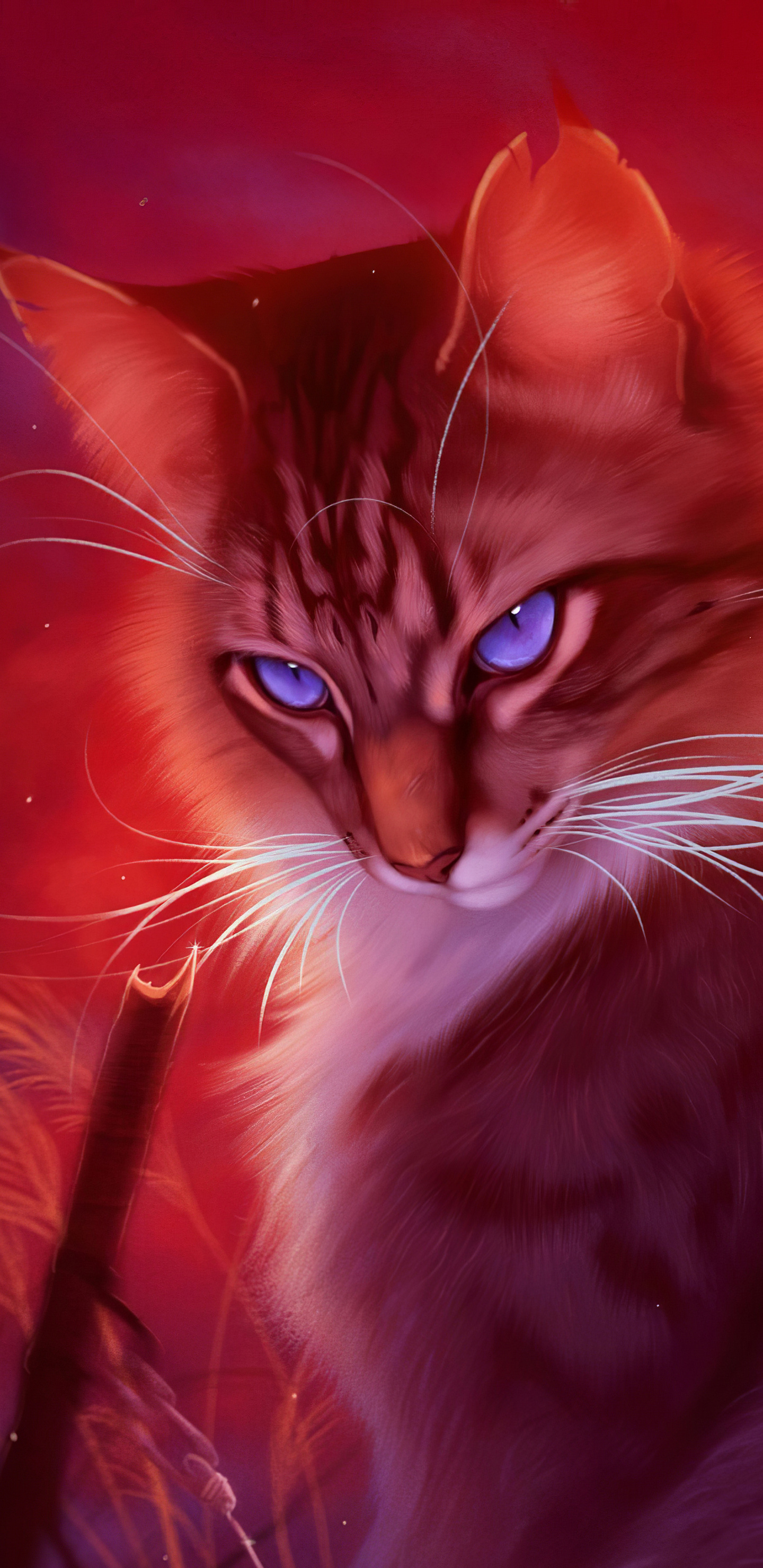 Firestar Warrior Cats Wallpapers - Wallpaper Cave