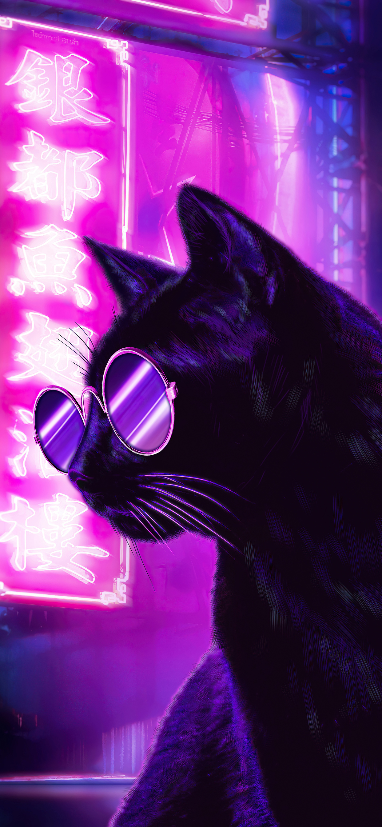 1242x2688 Cat Glasses Neon Purple Nights 4k Iphone XS MAX ...