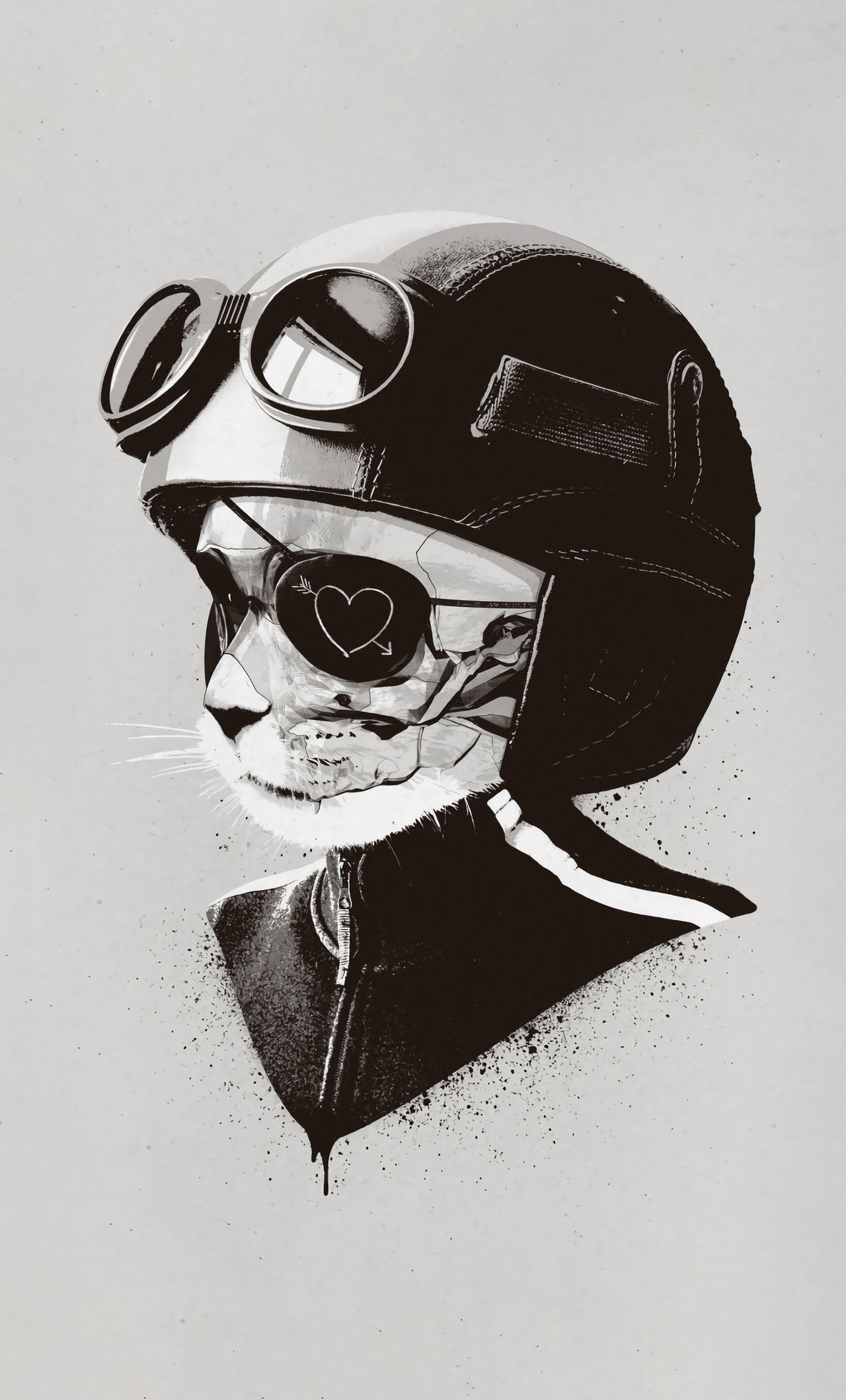 Кот в шлеме