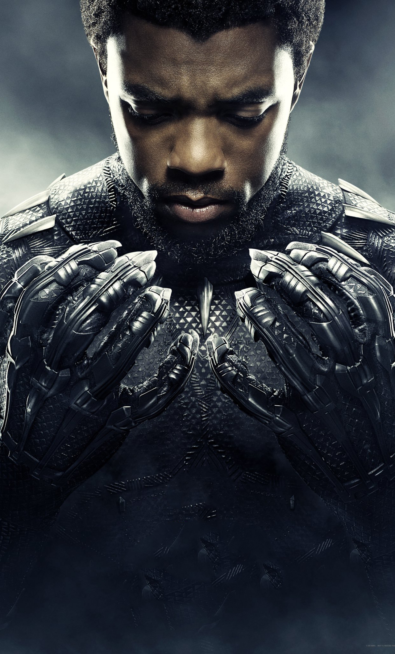 1280x2120 Chadwick Boseman Black Panther 2018 Movie iPhone 6+ HD 4k  Wallpapers, Images, Backgrounds, Photos and Pictures