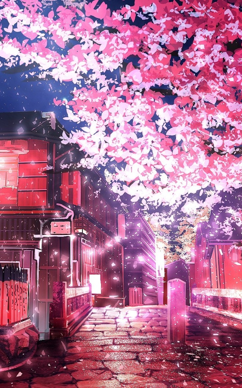 1379819 Cherry Blossom Sea Anime Scenery  Rare Gallery HD Wallpapers