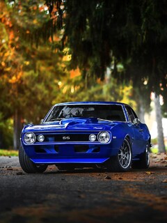 240x320 Chevrolet Camaro SS Muscle Car Nokia 230, Nokia 215, Samsung Xcover  550, LG G350 Android HD 4k Wallpapers, Images, Backgrounds, Photos and  Pictures