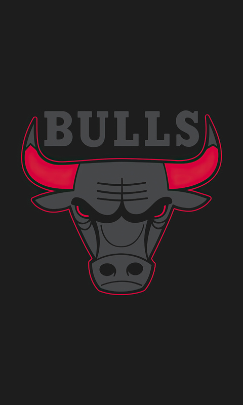 chicago-bulls-logo-mn.jpg