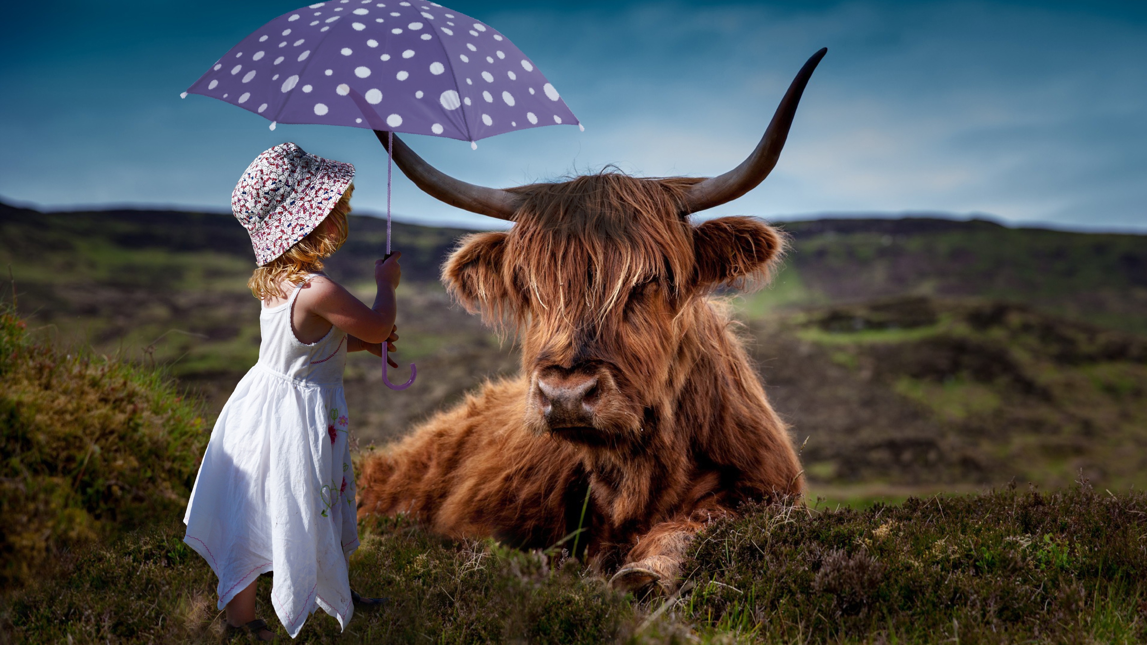 child-cow-umbrella-5k-6d.jpg