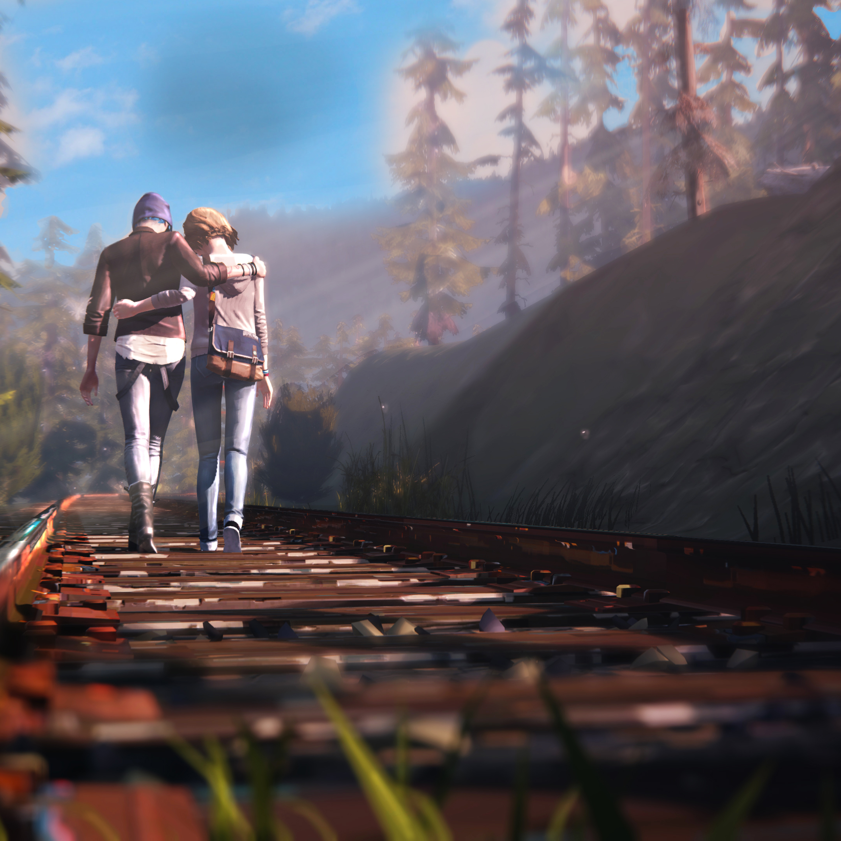 Your story adventure. Life is Strange 2 Forest Sunset.