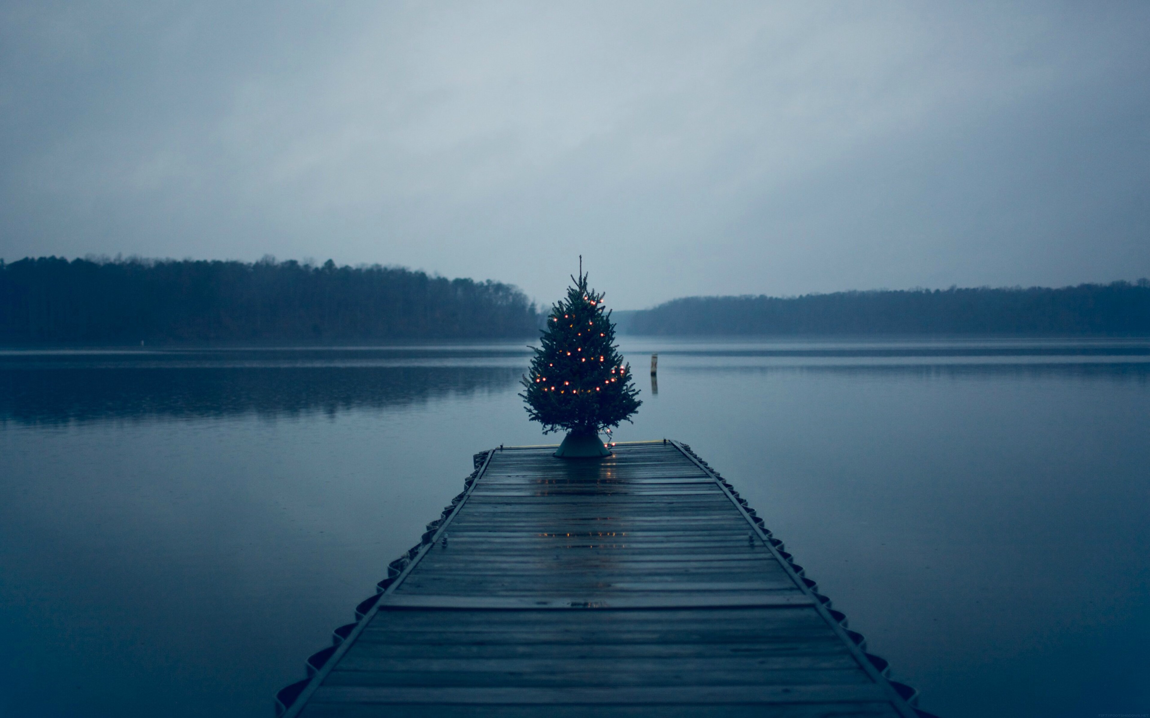 Новый год в озерах. Зима спокойствие. Новый год на озере. Одинокая елка. Озеро Рождественское.