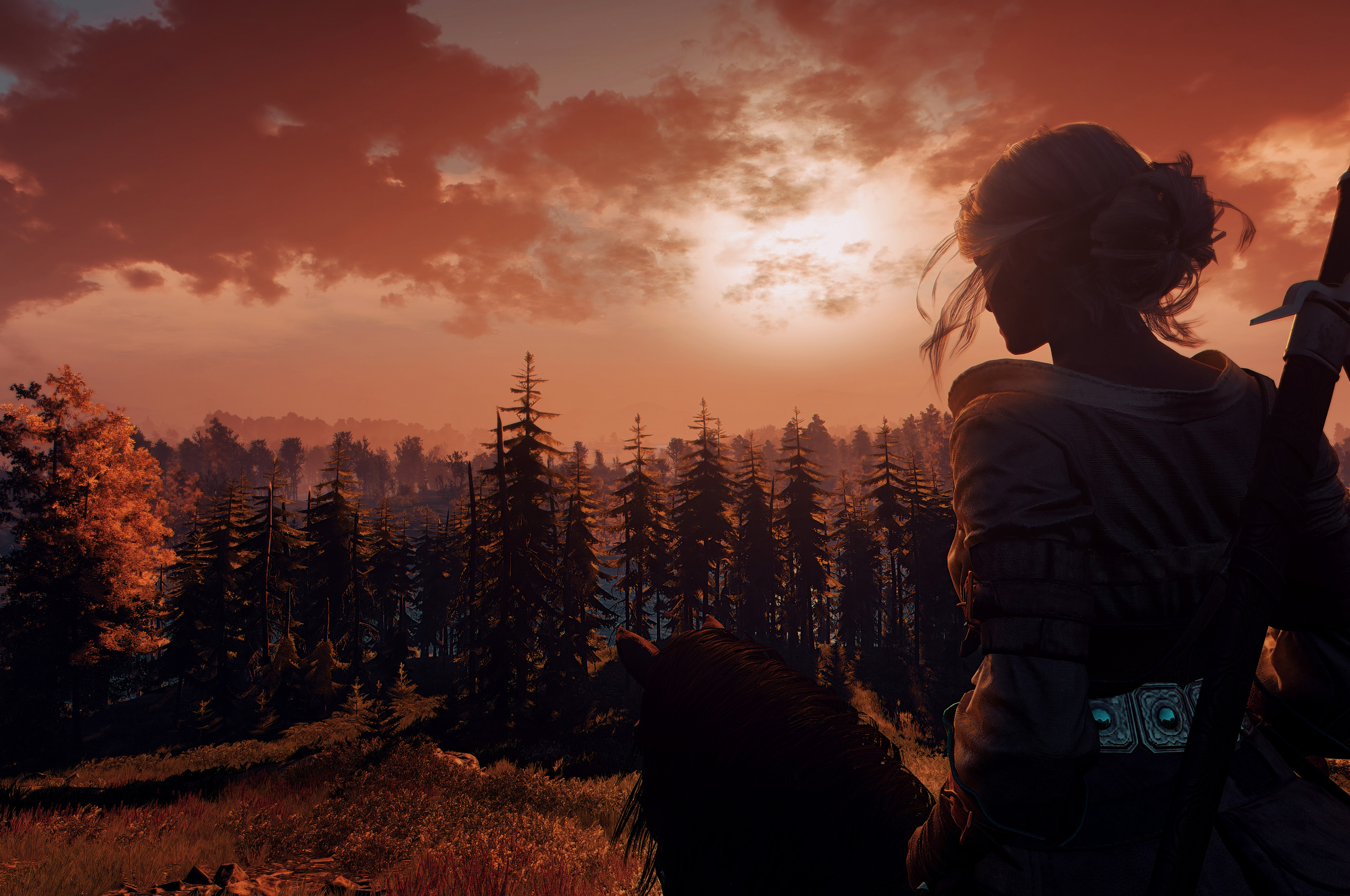 Download the witcher 3 for pc фото 67