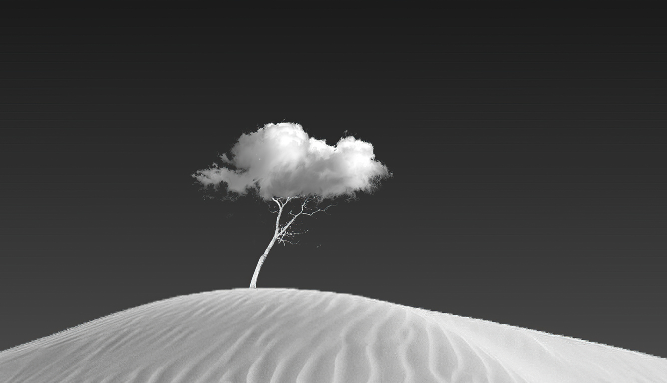 cloud-on-tree-vp.jpg